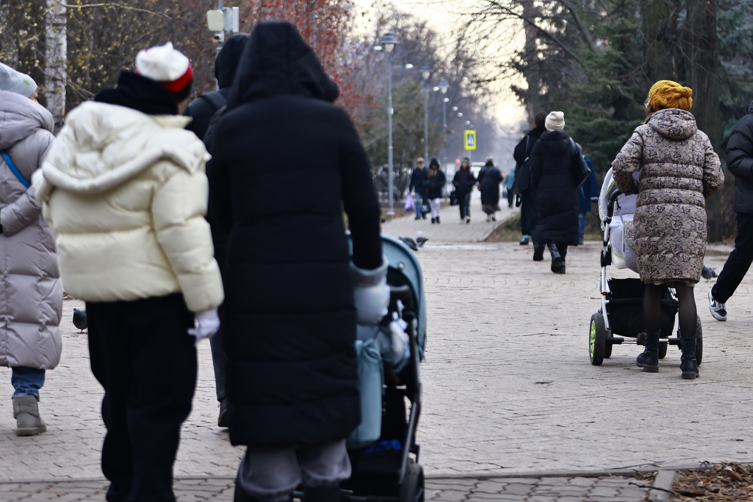 Небогатые семьи с детьми в Татарстане смогут получить ежегодную семейную выплату