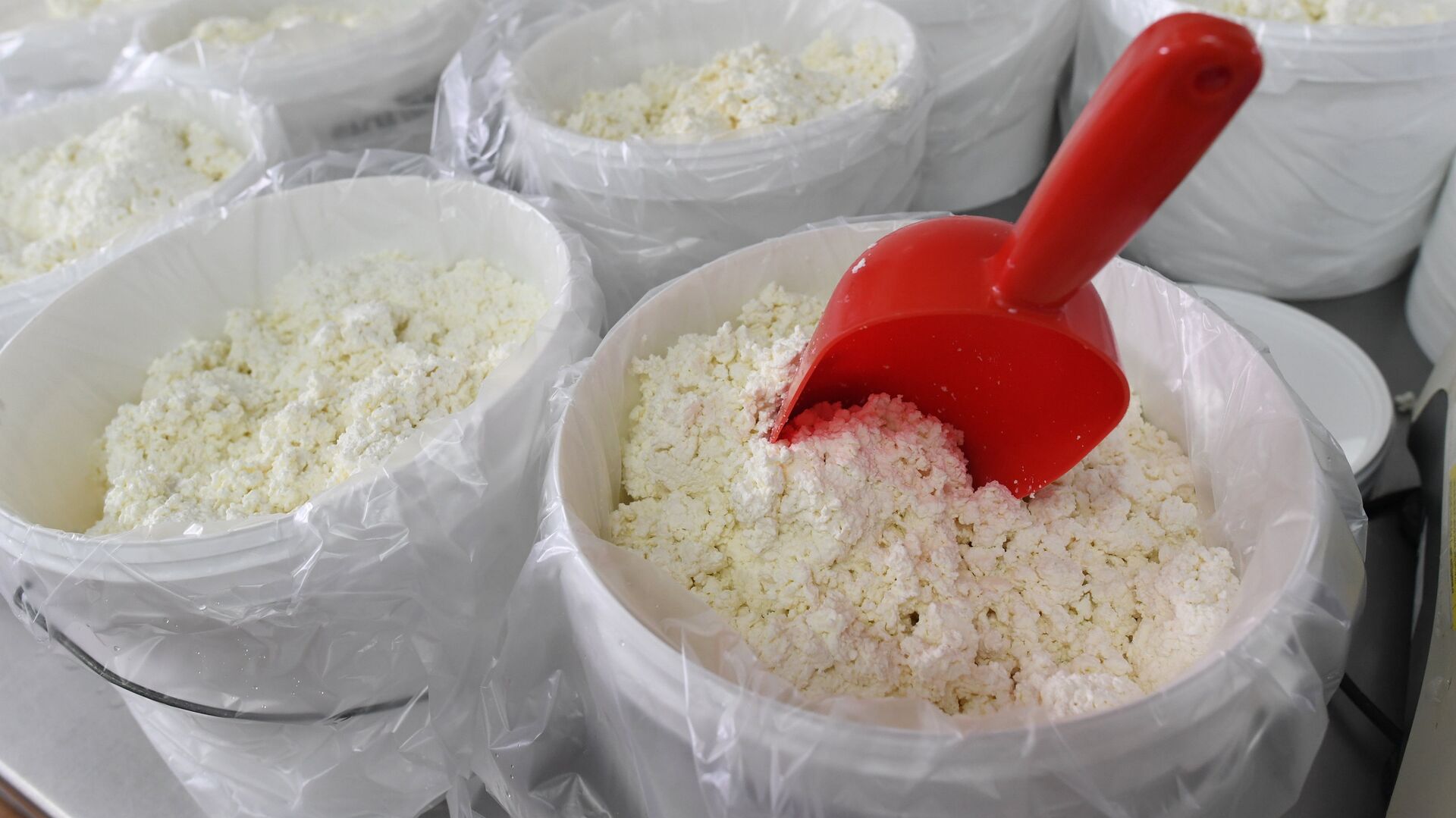 В России обновят ГОСТ на творог