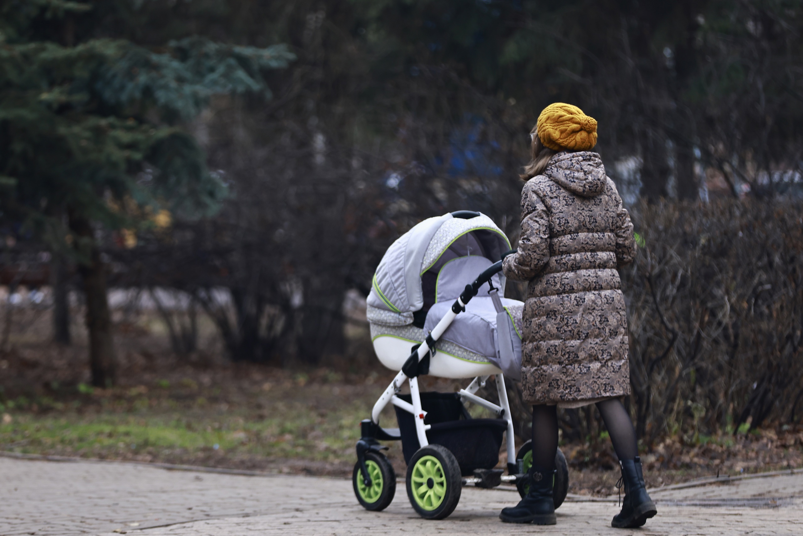 В Президентской академии озвучили, каким семьям положены пособия