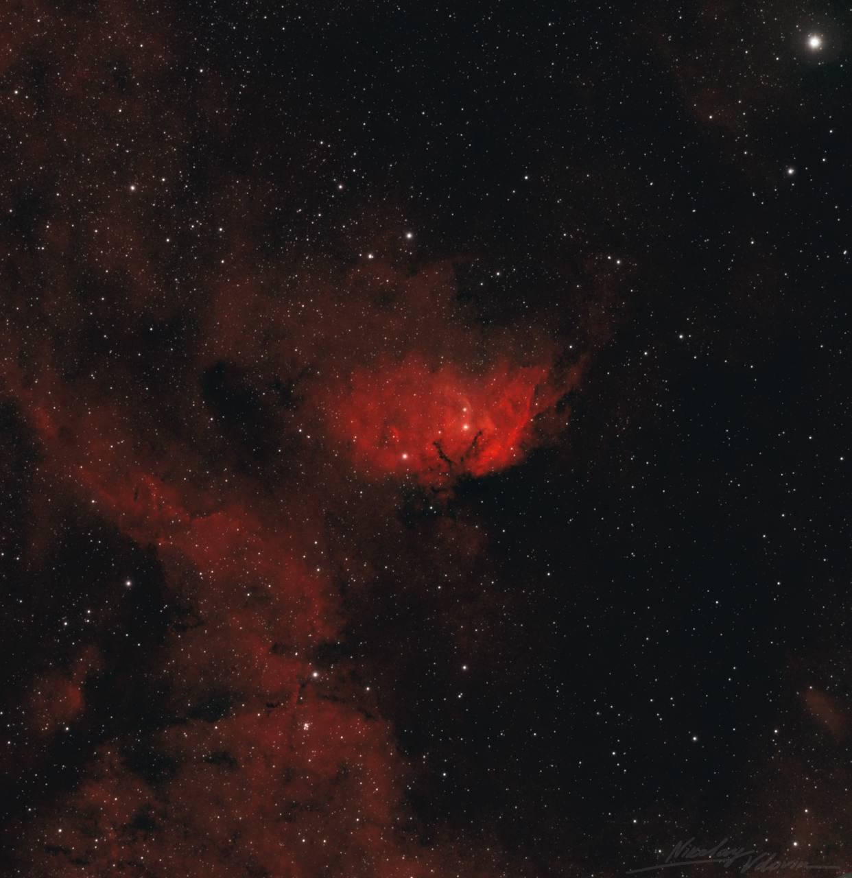 К 8 Марта Роскосмос опубликовал снимки букетов из звёздной пыли