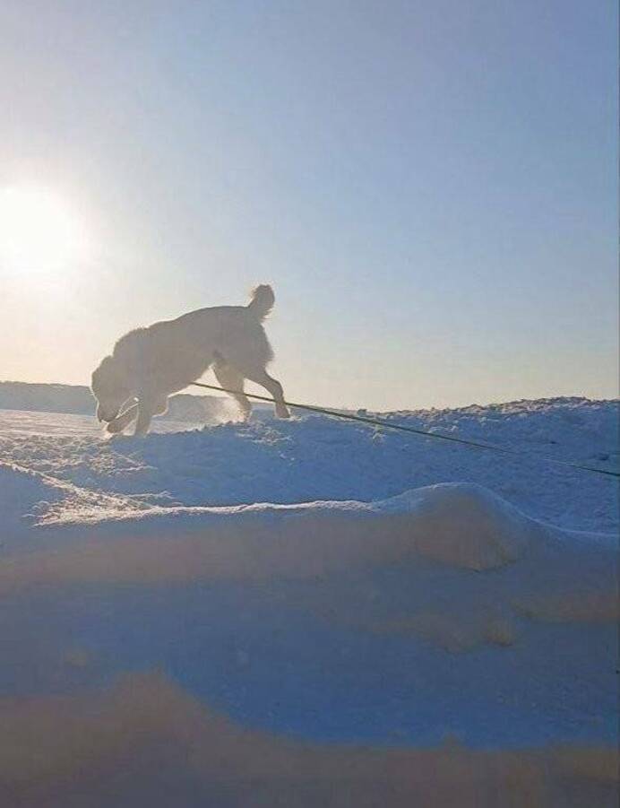 Минниханов призвал татарстанцев провожать холода и встречать весну