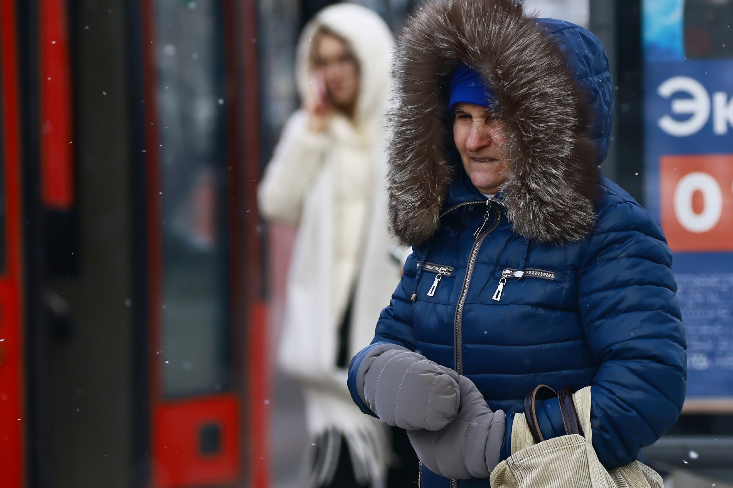 Какой документ необходимо проверить россиянам перед выходом на пенсию