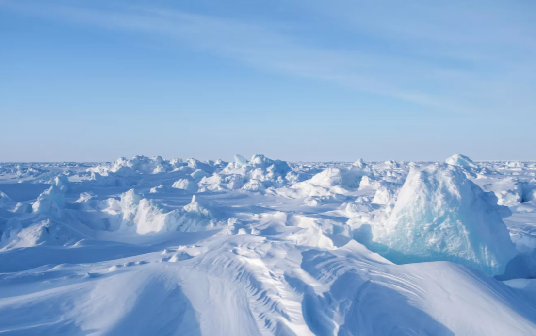 Валерий Мельников / РИА Новости