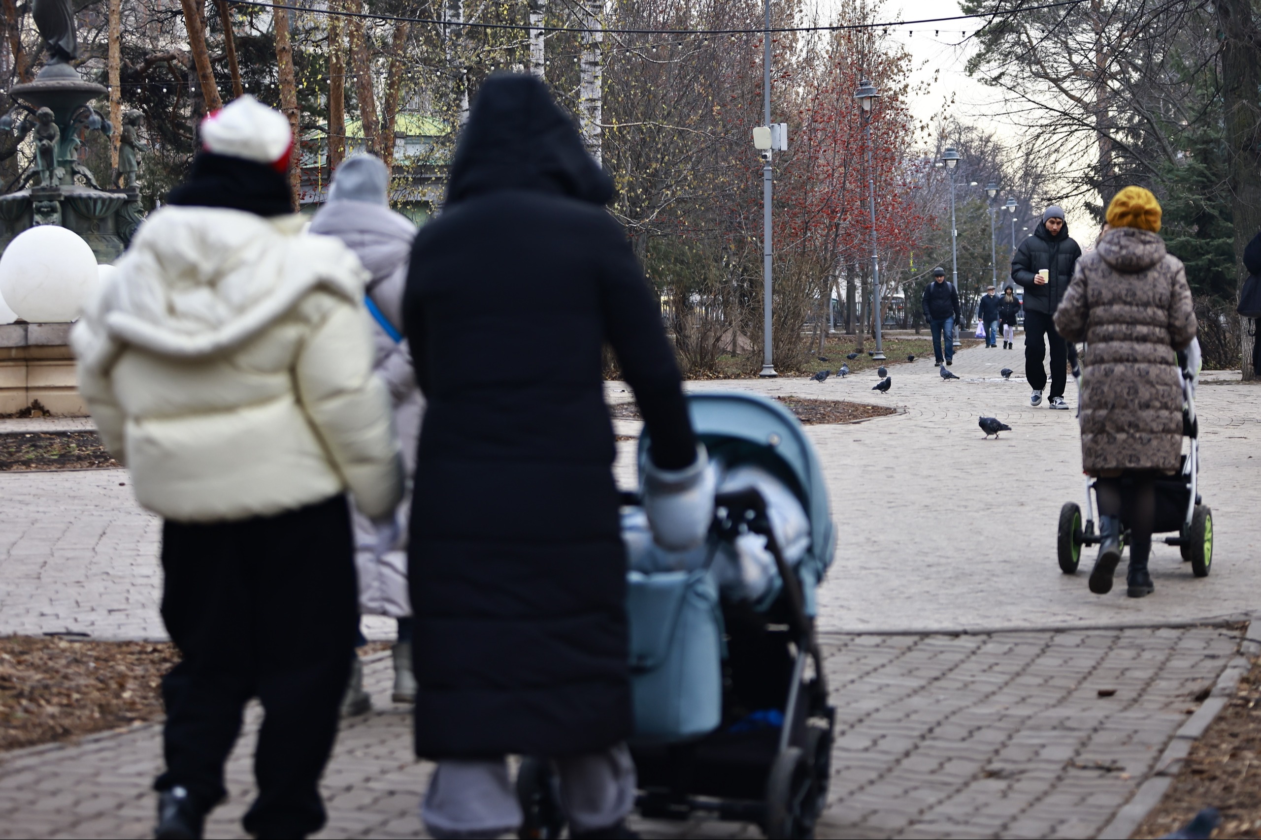 Число многодетных семей в России выросло до 2,9 млн