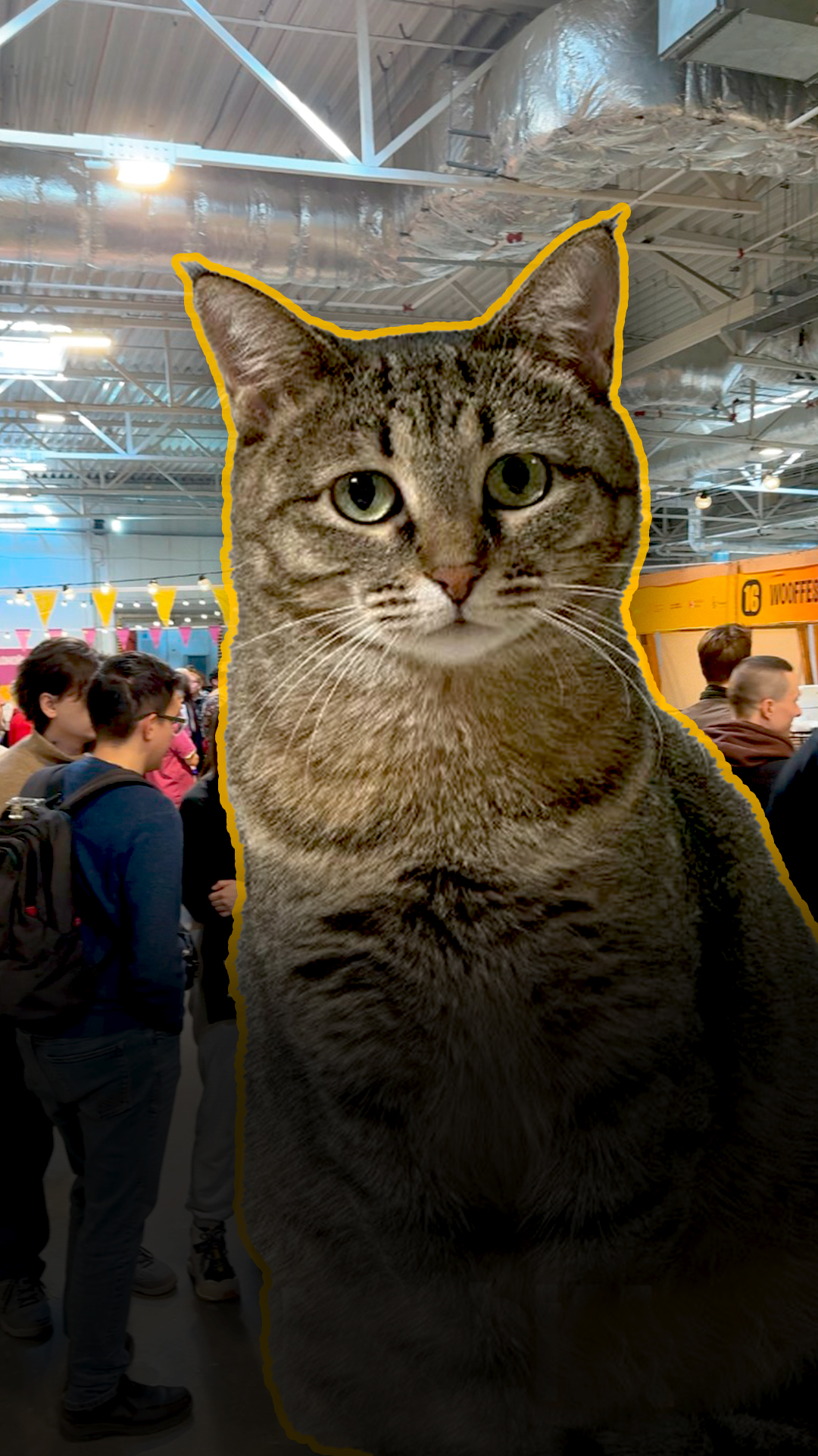 Анна Закаблуцкая