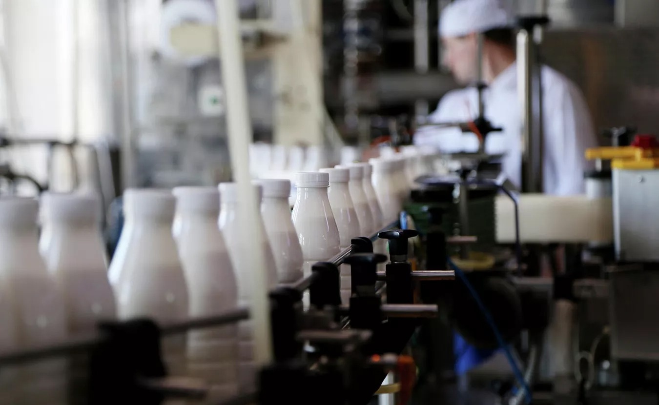 Кишечную палочку обнаружили в ряженке в Татарстане