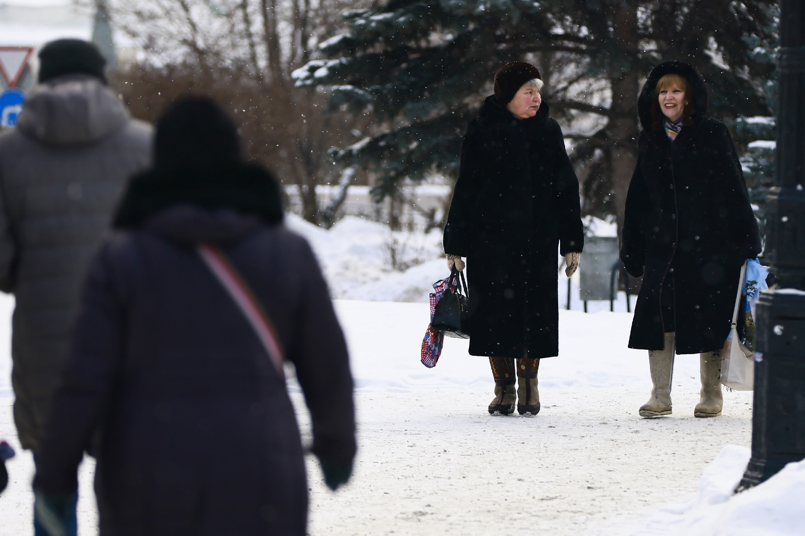 В Татарстане предложили открыть «детские сады» для пенсионеров