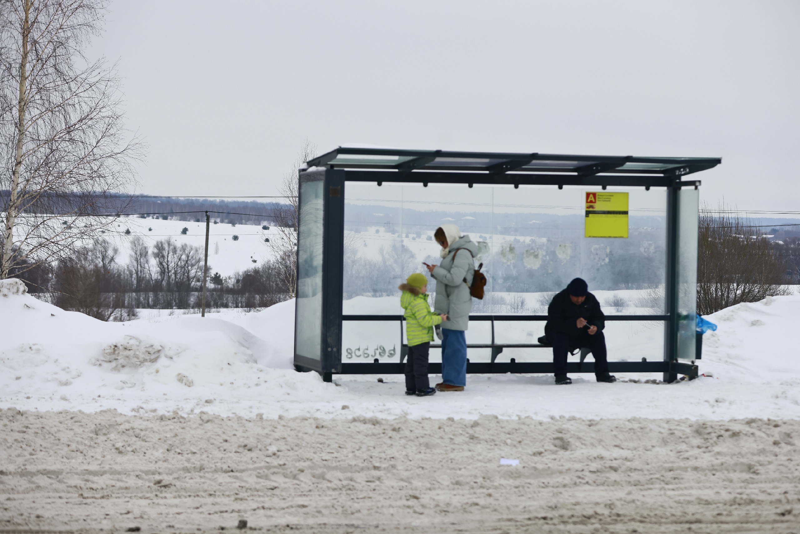 Решит ли новый микрорайон «Яблоневые сады» проблемы жителей Куюков и Салмачей