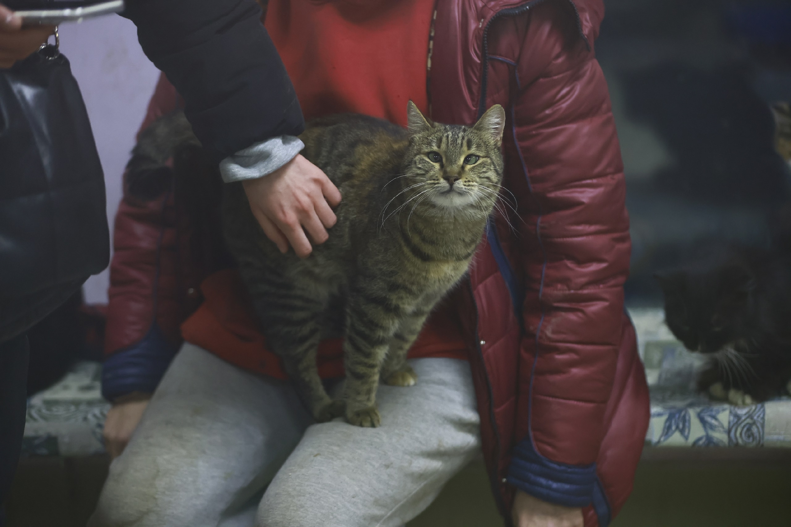 Павел Хацаюк / ИД «Вечерняя Казань»