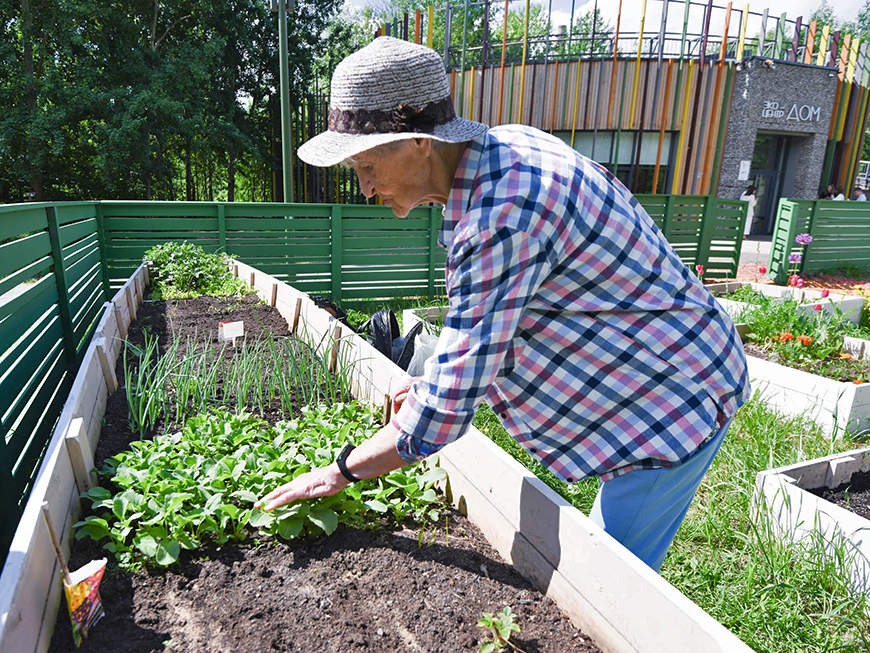 Татарстанцев предупредили о штрафах за огороды во дворах многоэтажек
