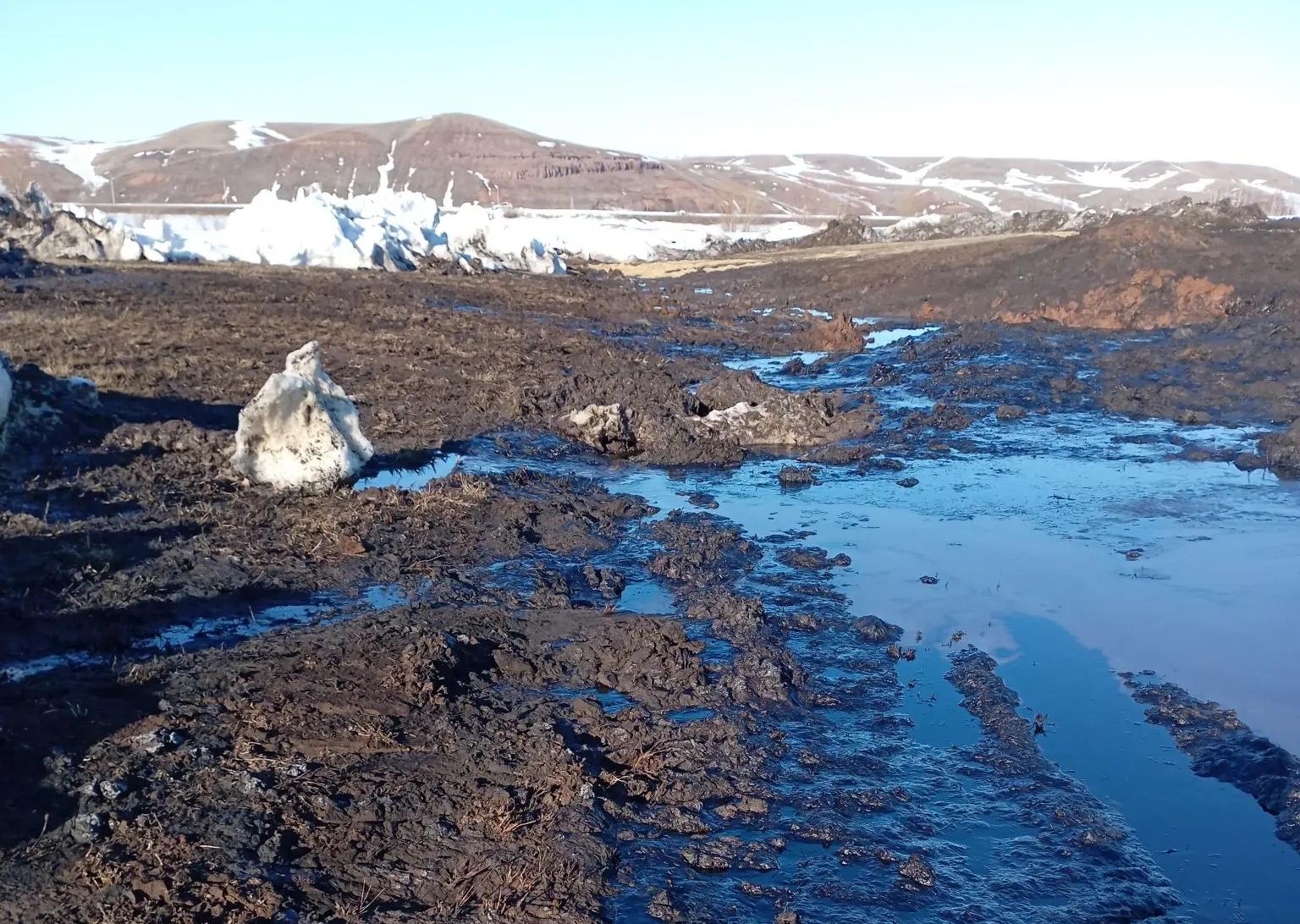 Россельхознадзор по РТ