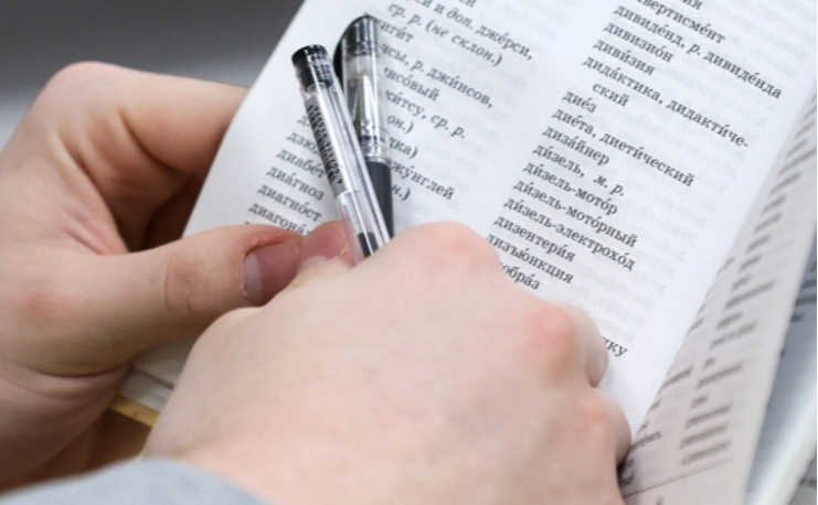 Слово «хоббихорсинг» может попасть в словарь русского языка