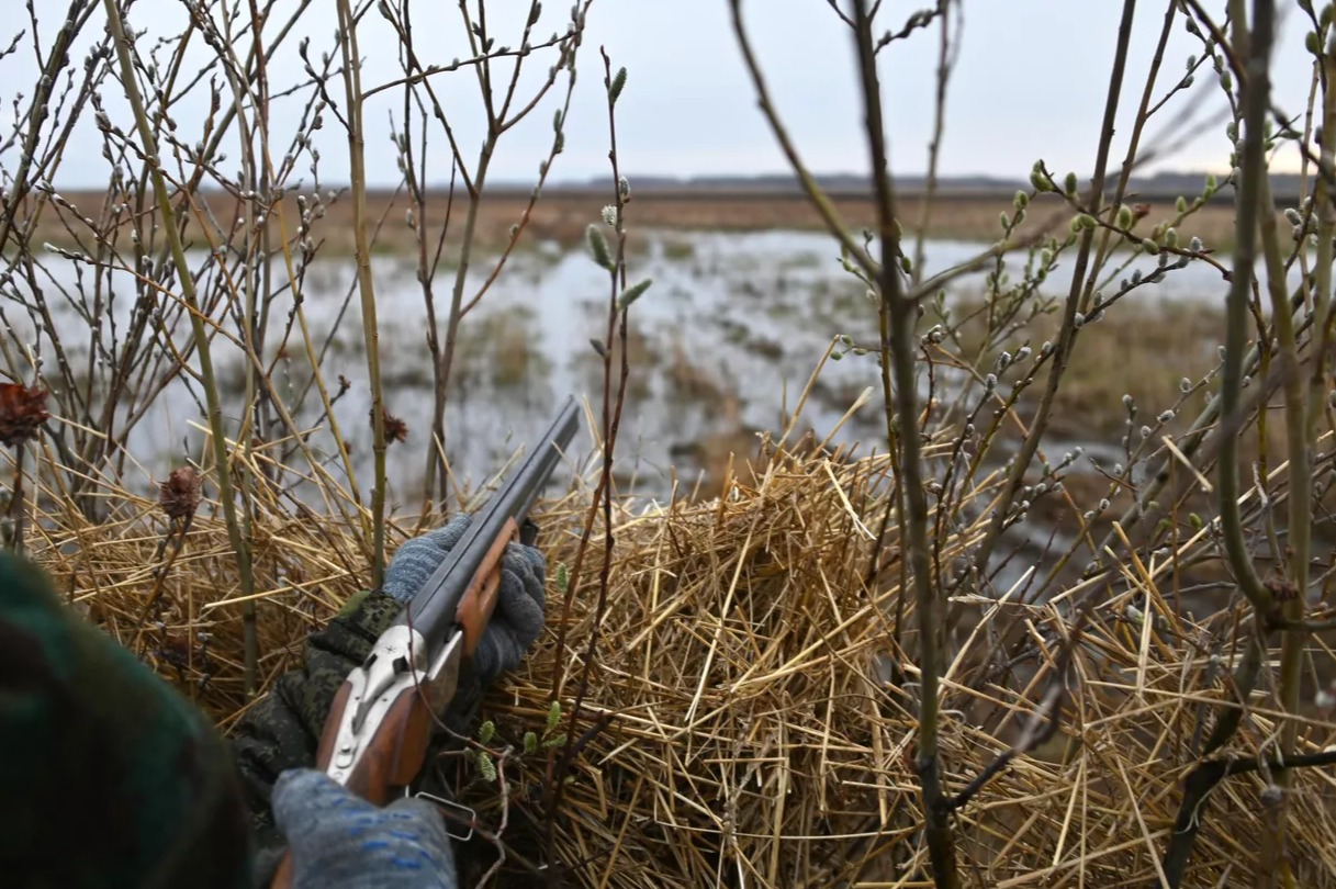 Запасы охотничьих ресурсов Татарстана достигают почти 3 млрд рублей