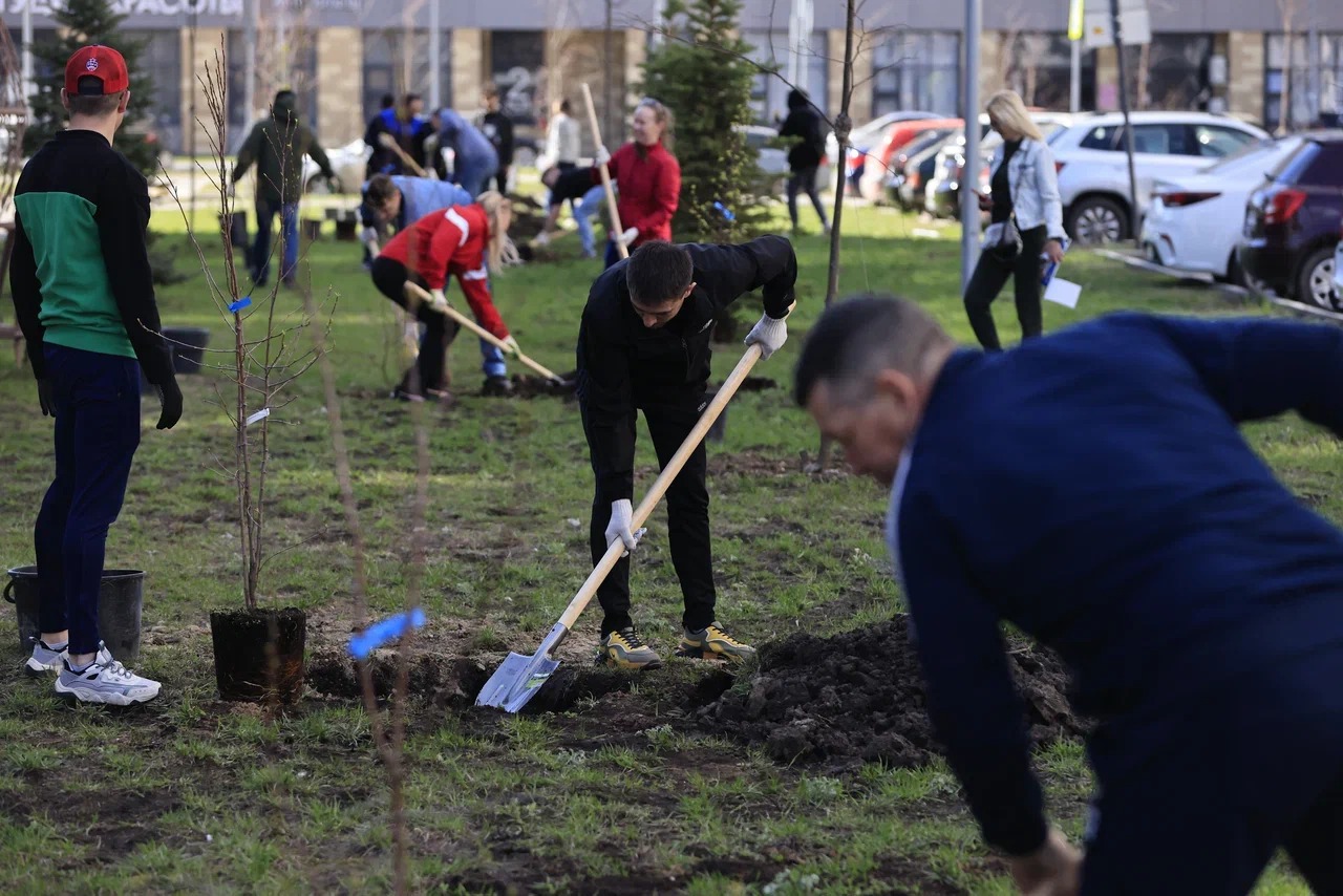 Назвали дату городского субботника в Казани