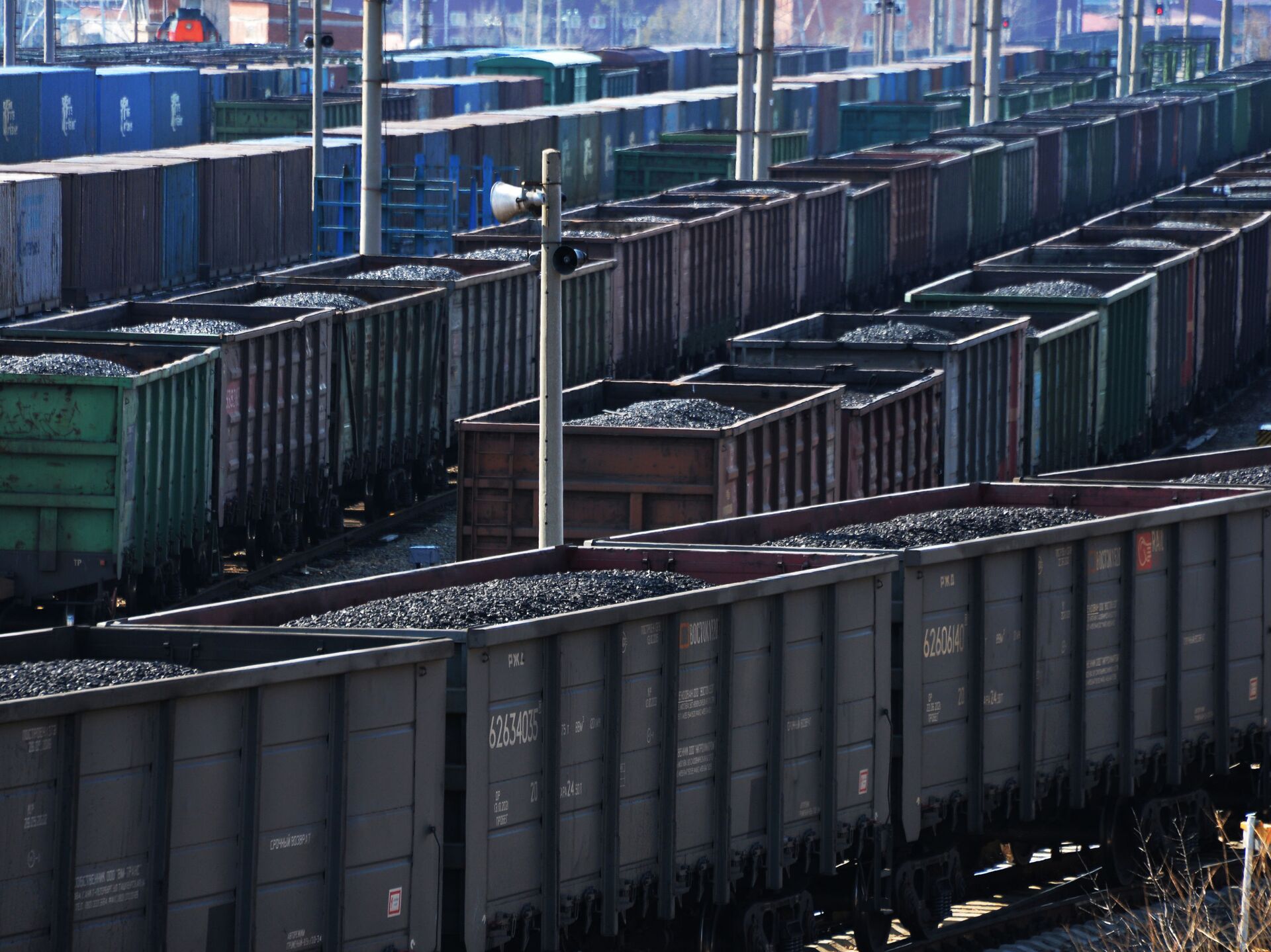 На ж/д транспорте введут принцип  «вези или плати»