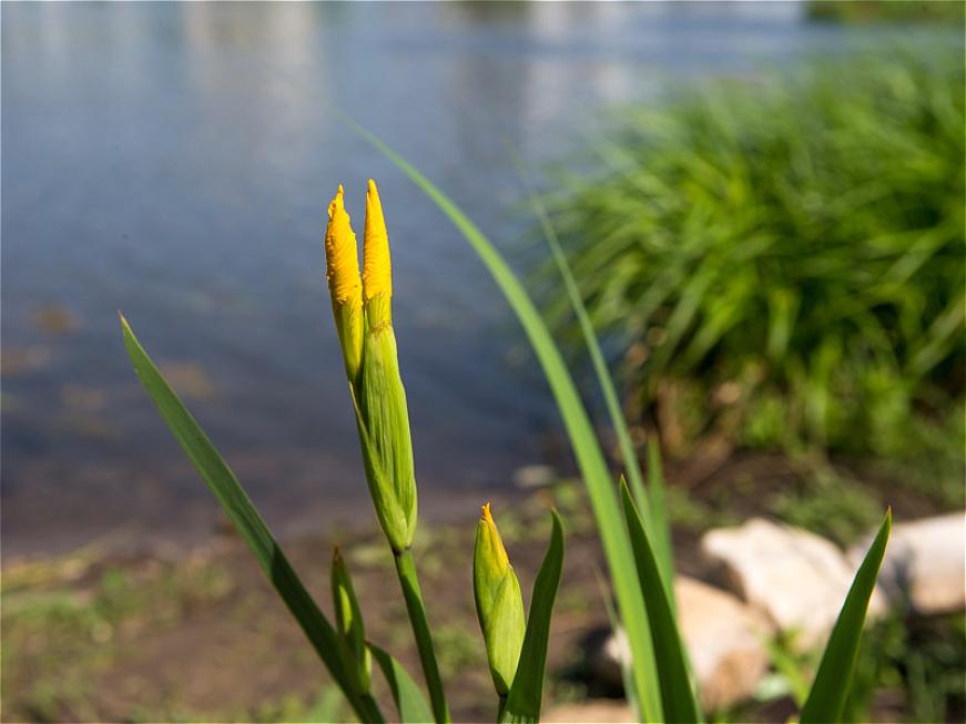 В Татарстане пройдёт всероссийский съезд «Вода России»