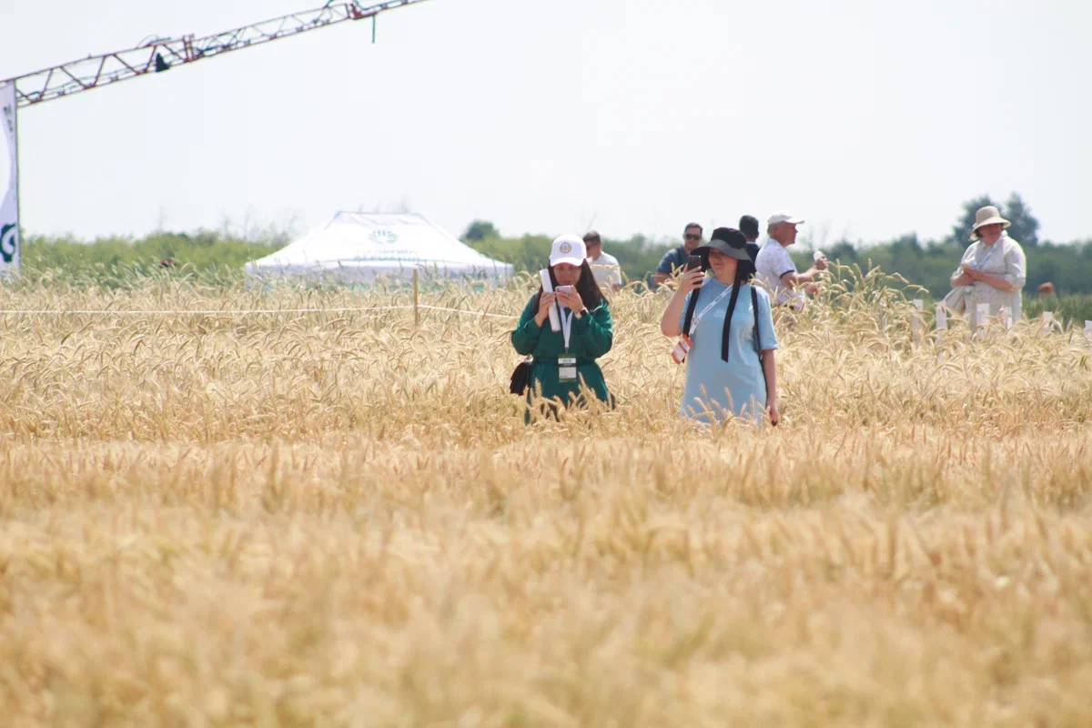 Гидрометцентр предупреждает об аномально жарком лете в регионах России