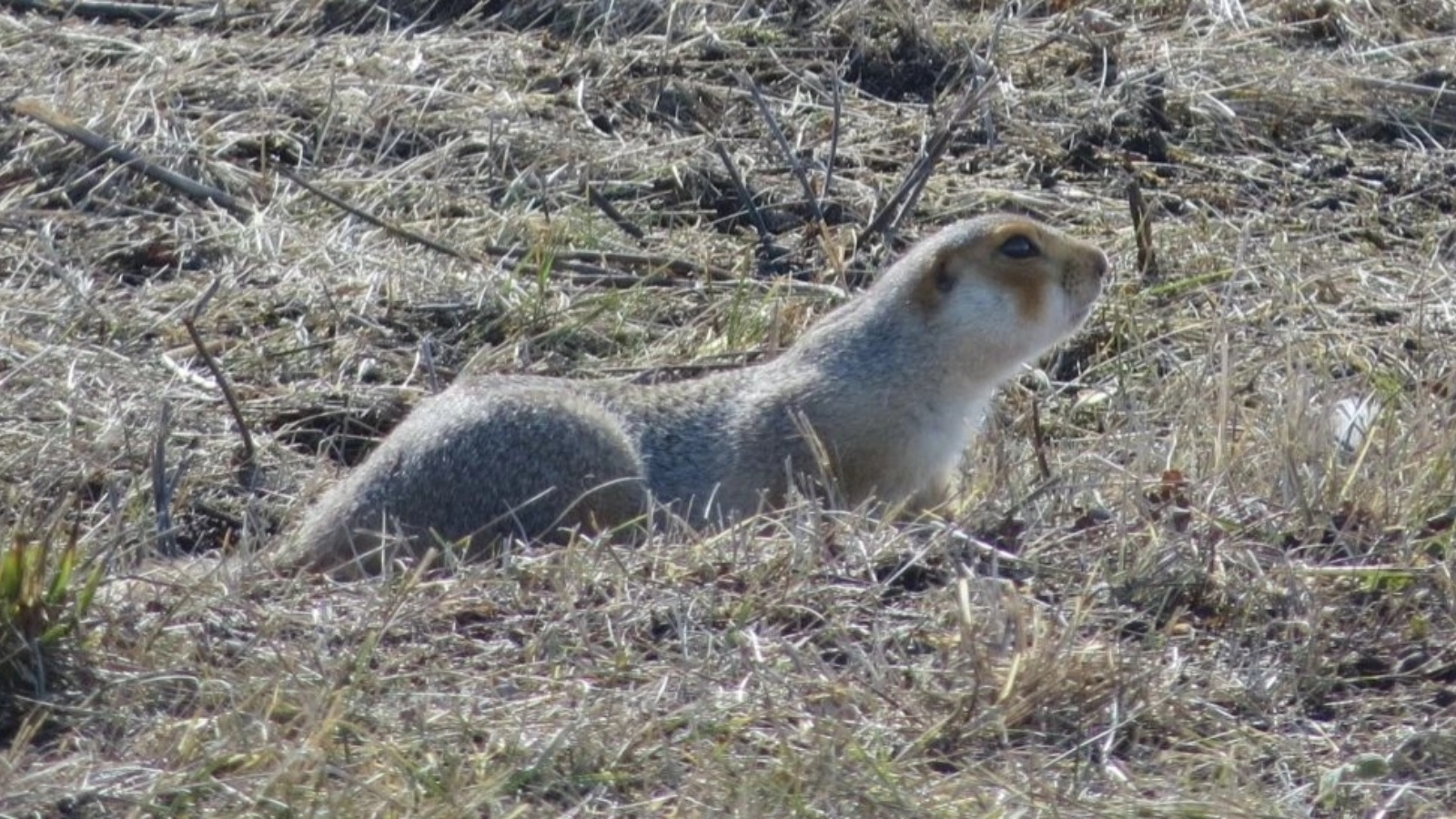 Госкомитет РТ по биоресурсам