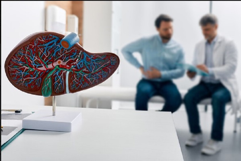 Создаваемая учёными России «цифровая опухоль» поможет изучить рак печени