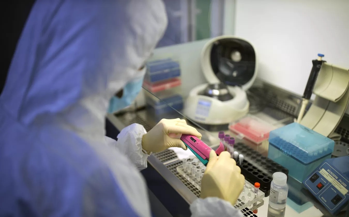 В Татарстане мышиной лихорадкой чаще всего заболевают мужчины