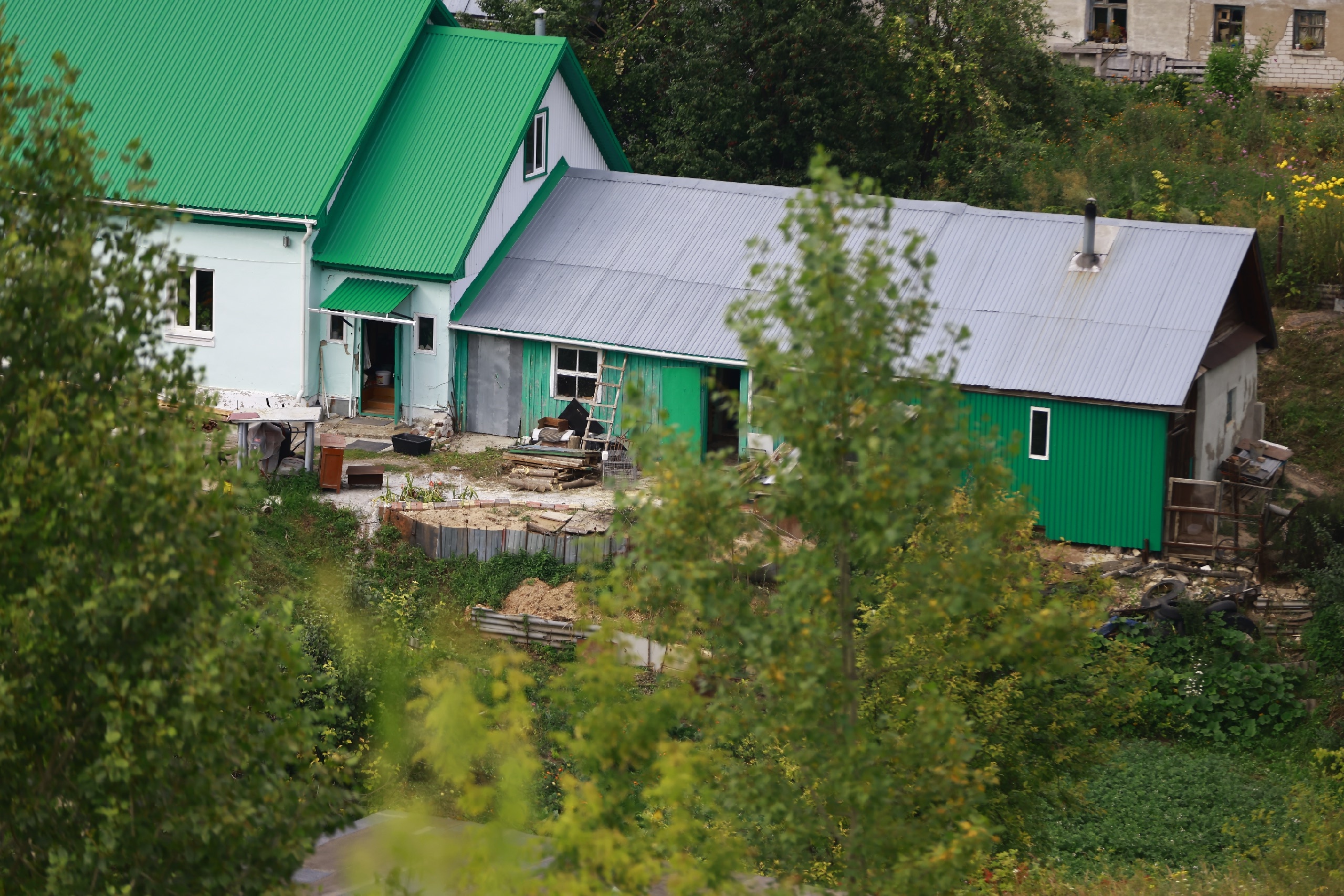 Перенести весенние паводки смогут не все растения, рассказали в КФУ