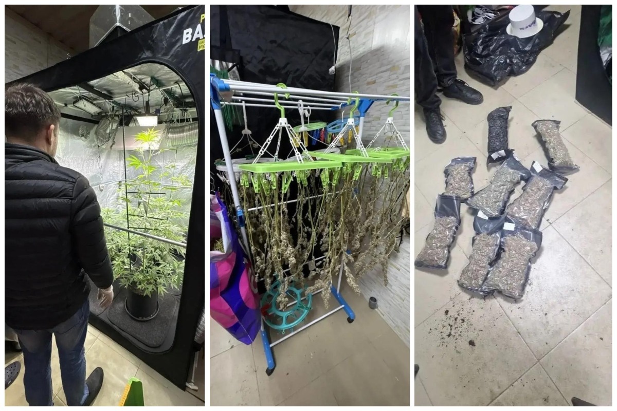 Появились фото наркотической «плантации» в квартире жителя Казани