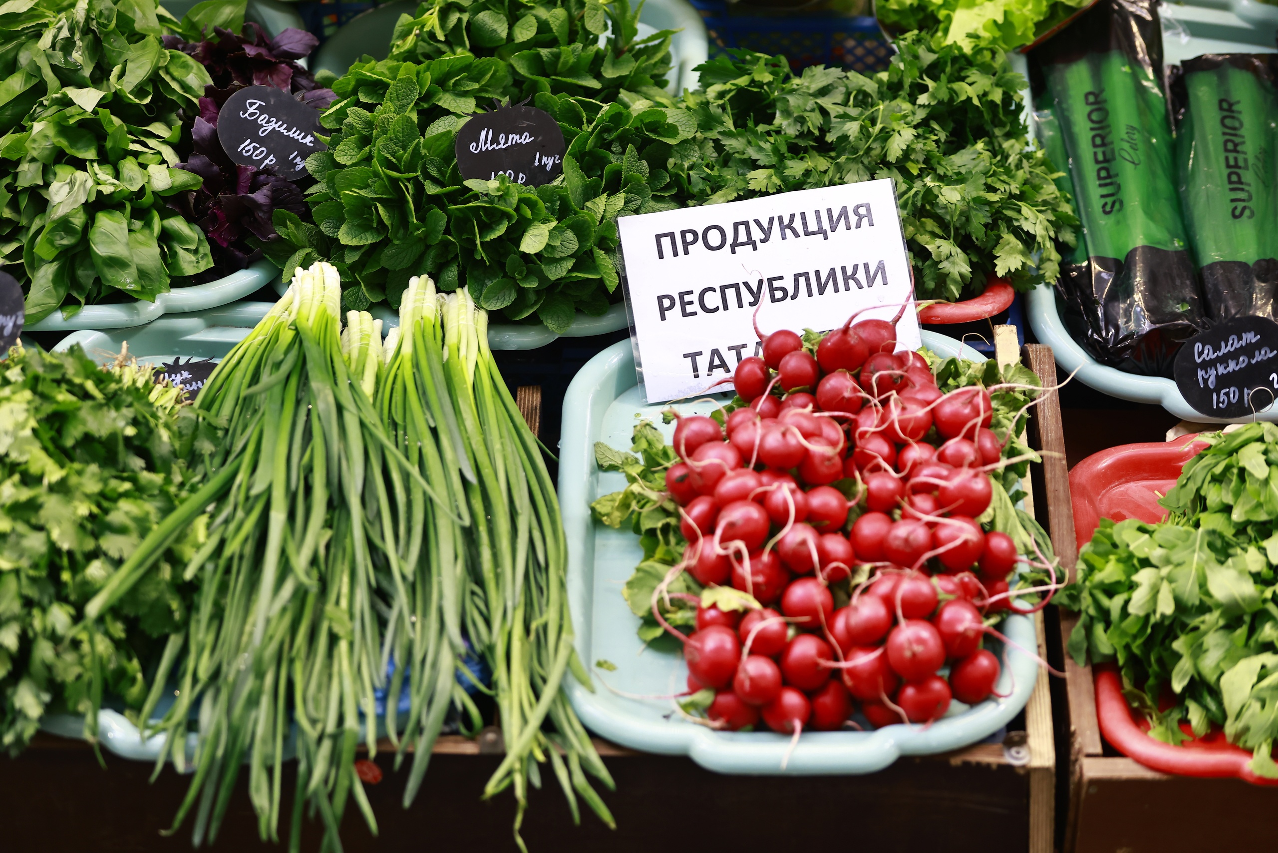 Названы площадки для очередных сельхозярмарок в Казани