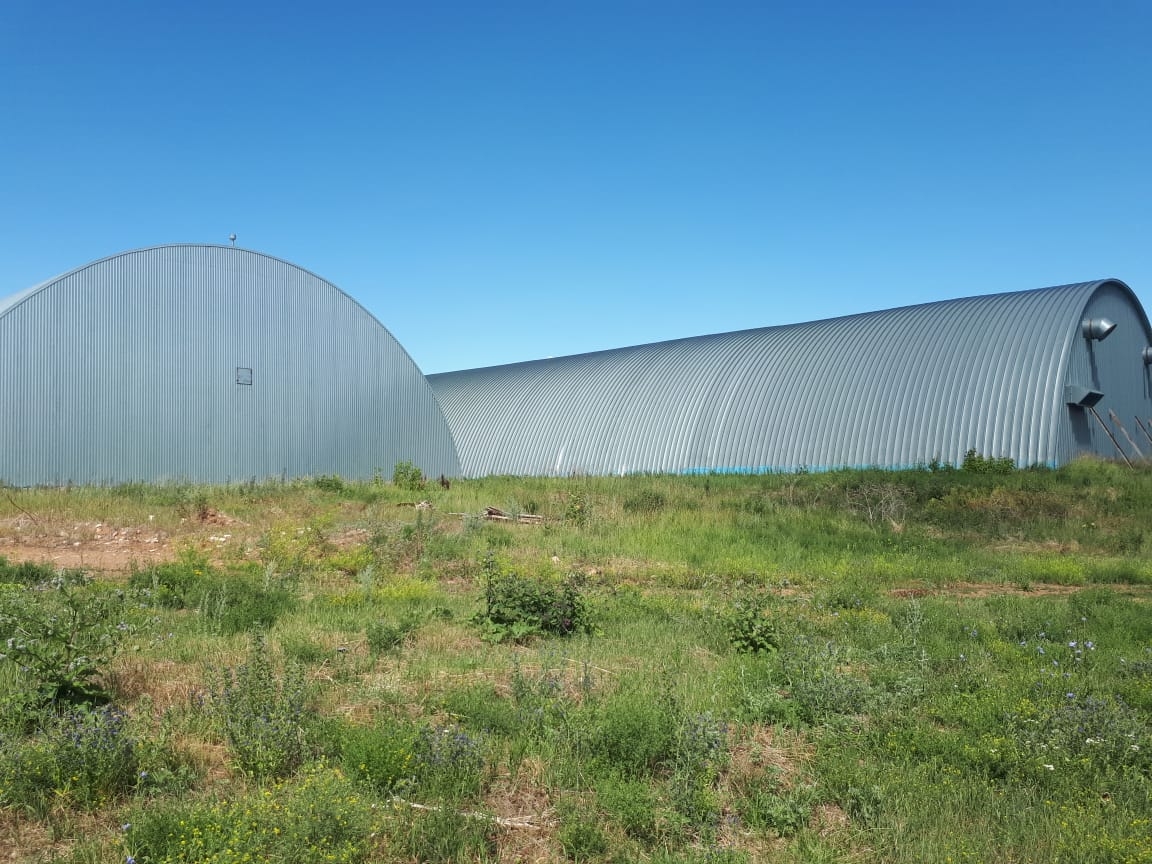 В Татарстане за 40 млн рублей продают овощехранилище