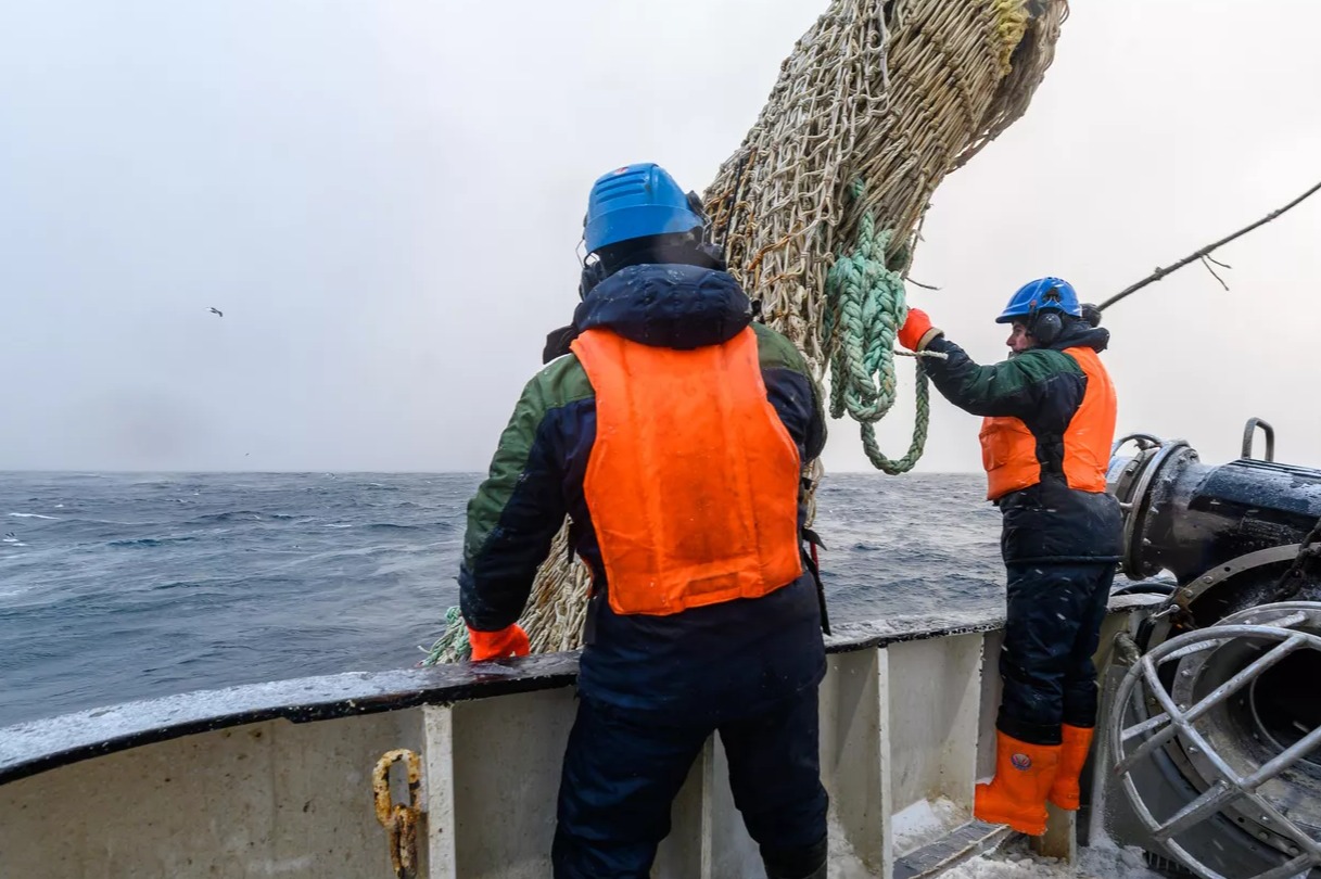 Россиянам разрешили вылавливать глубоководных «рыб-ведьм»