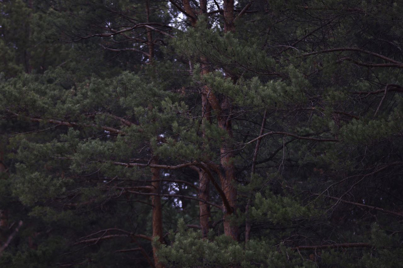 Павел Хацаюк / ИД «Вечерняя Казань»