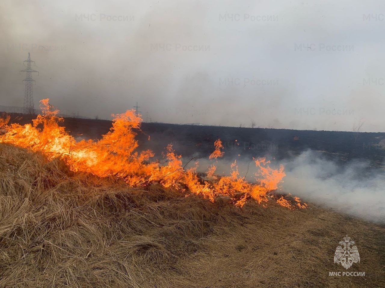 Больше всего природных пожаров случилось в Челнах и Казани