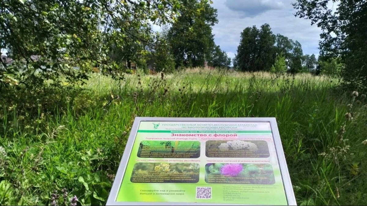 В Татарстане обустроили пять экотроп для туристов
