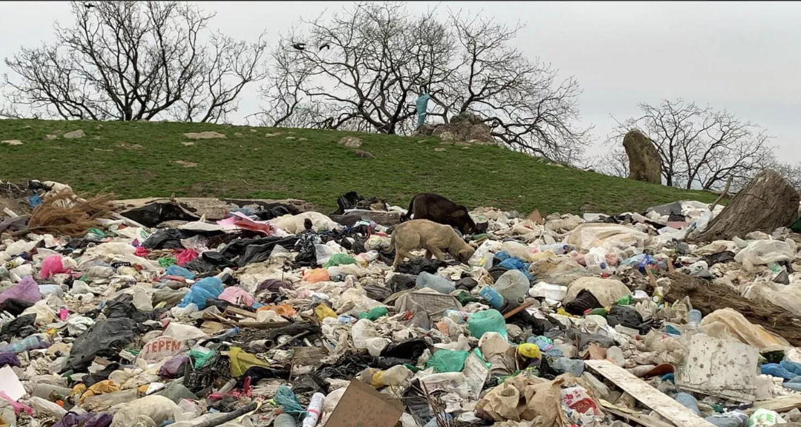 Из обнаруженных в Татарстане почти 400 свалок половина уже убрана