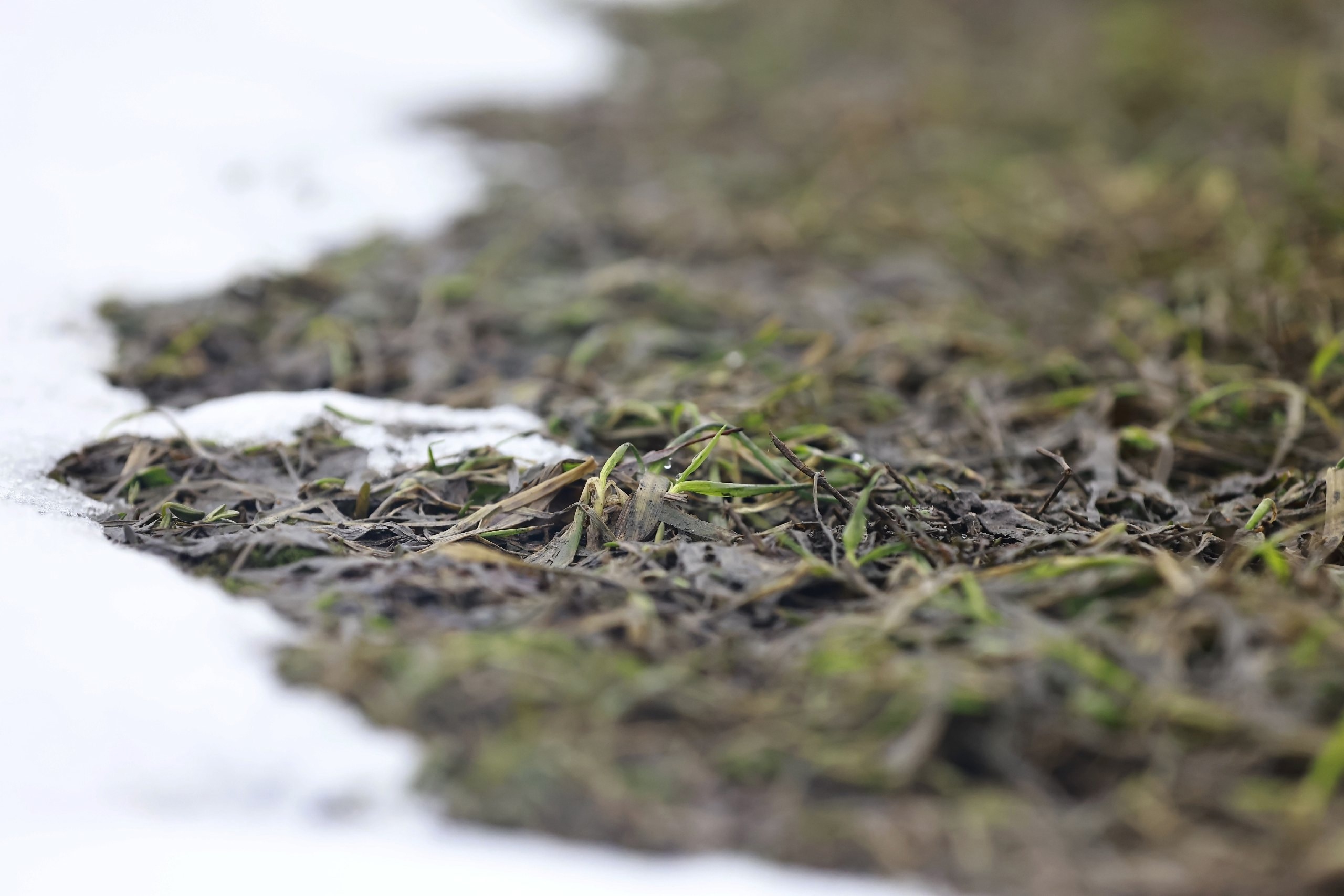 За поджог сухой травы россиянам грозит штраф до 60 тысяч рублей