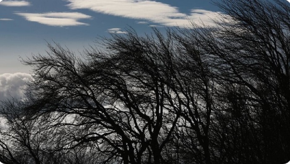 Сильный ветер повредил остановку в Менделеевске: пострадала девушка