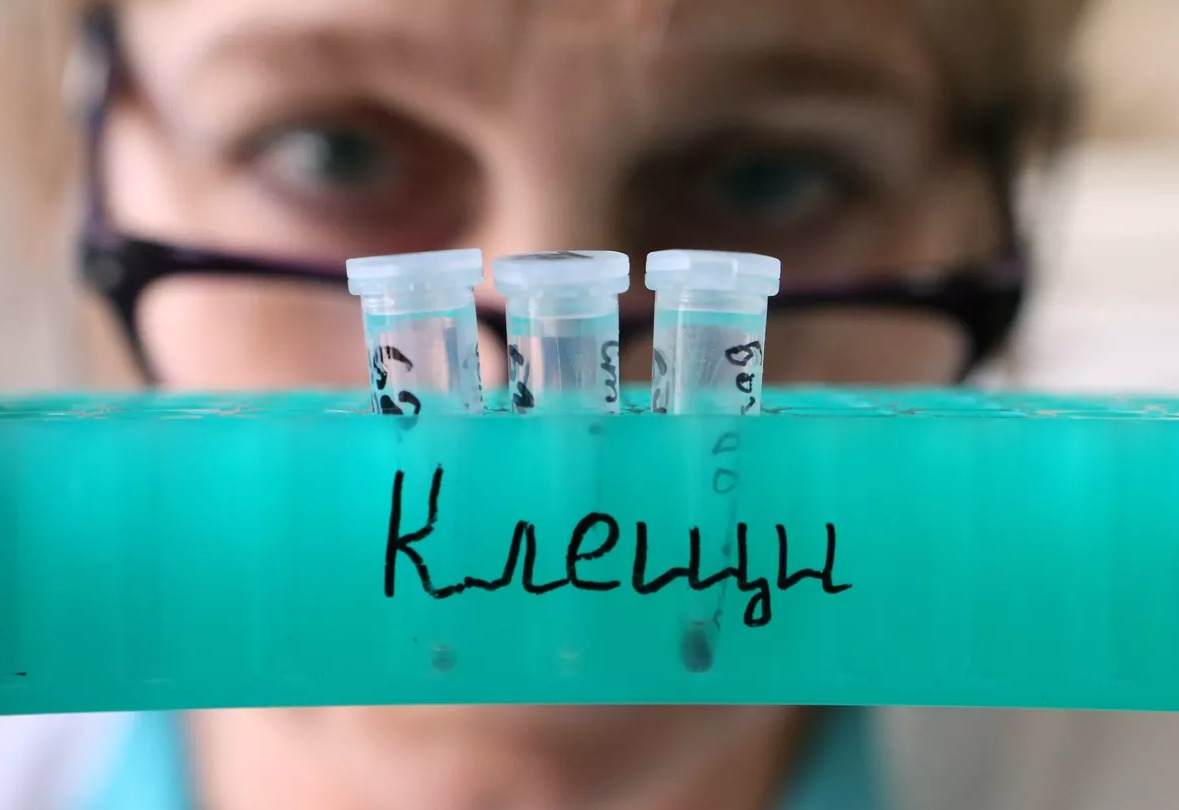 Казань стала самым крупным рассадником клещей в Татарстане