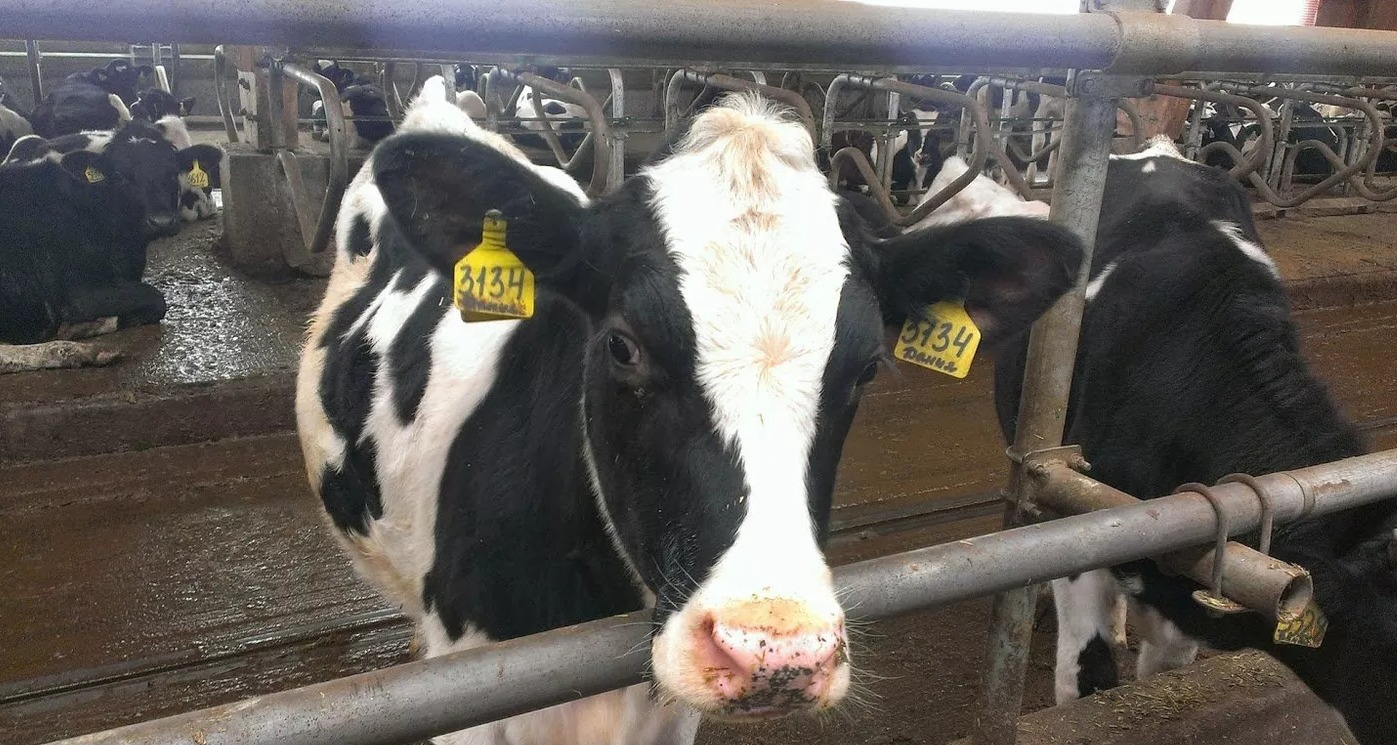 Ольга Климова / РИА Новости