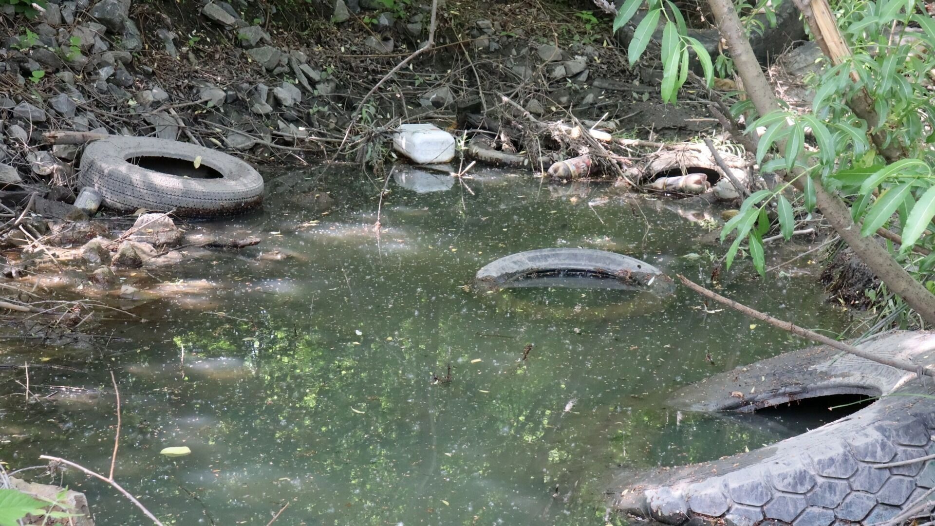 Бастрыкин проверит воду в посёлке Самосырово — люди жалуются на кожные болезни