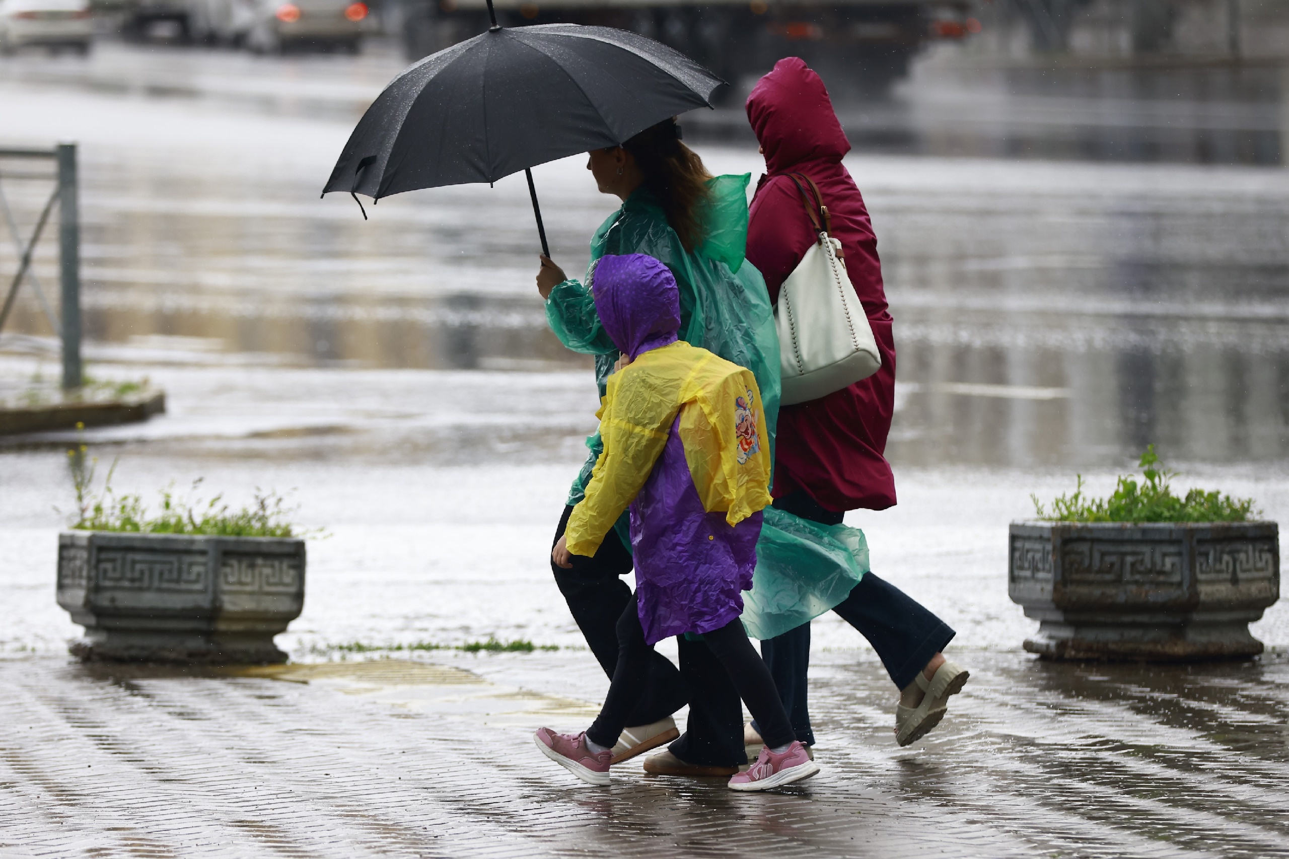 Погода в России начнет «скакать» еще сильнее, предсказали синоптики