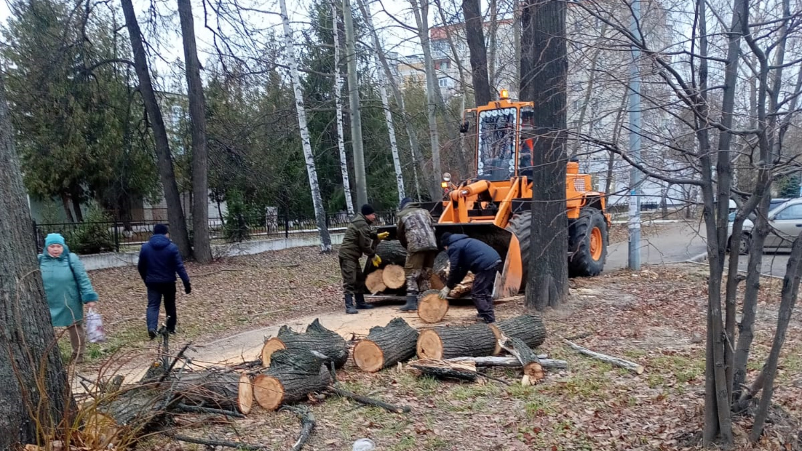 Дерево упало на девушку в Казани на улице Галеева