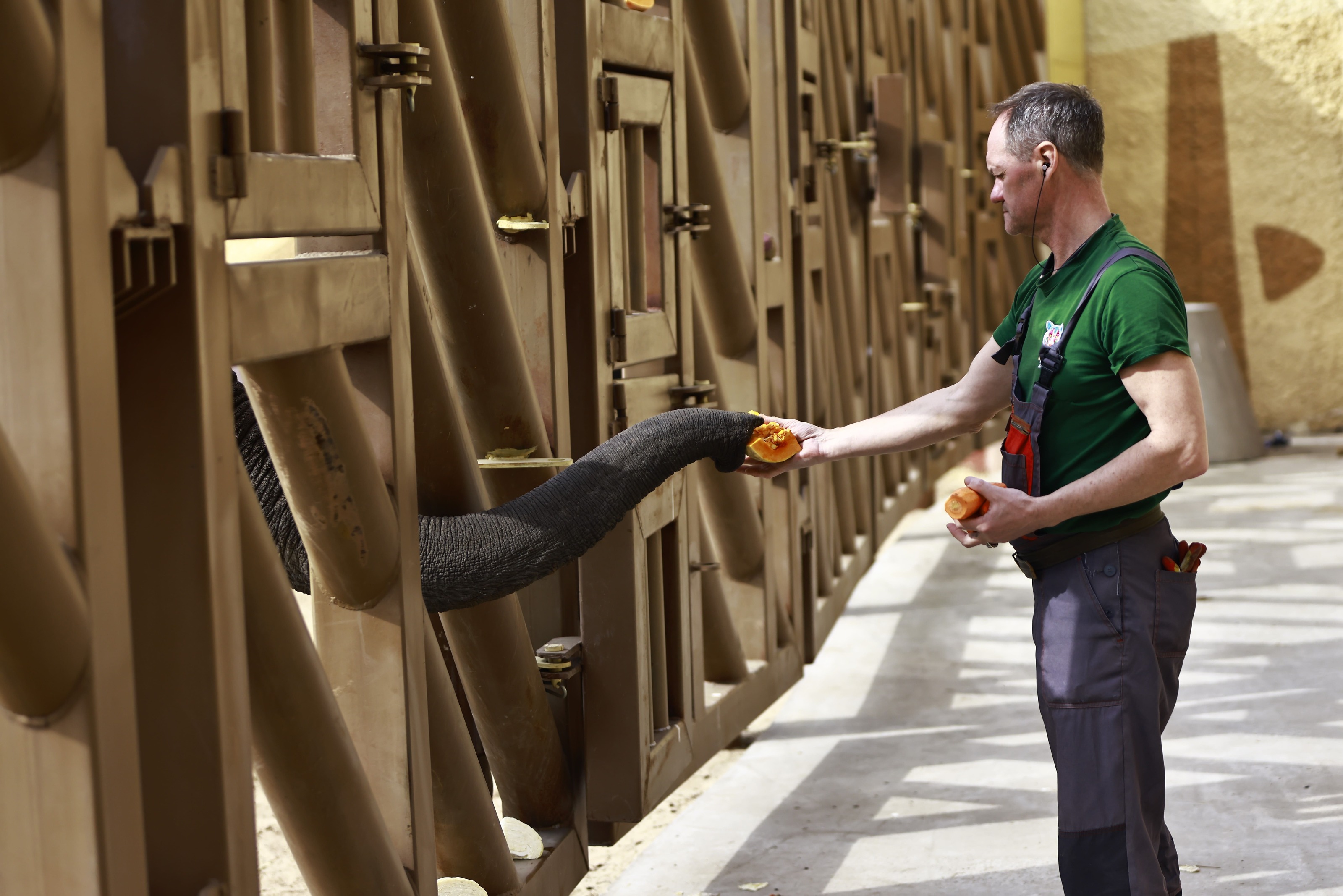 Зоопарк Казани переходит на новый режим работы