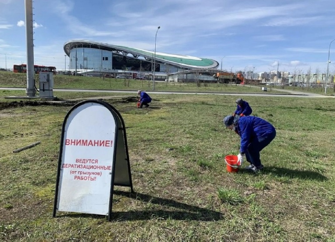 Нынешней весной в Казани планируют обработать от грызунов 820 гектаров