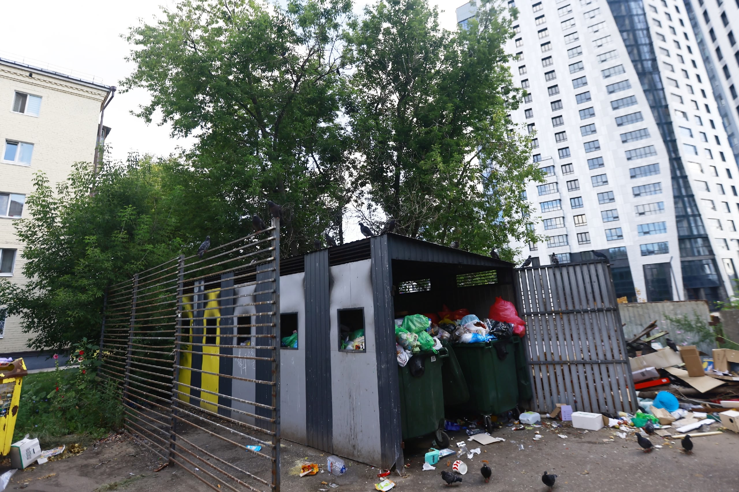 С мусорок Казани за неделю вывезли 164 тысячи кубометров отходов