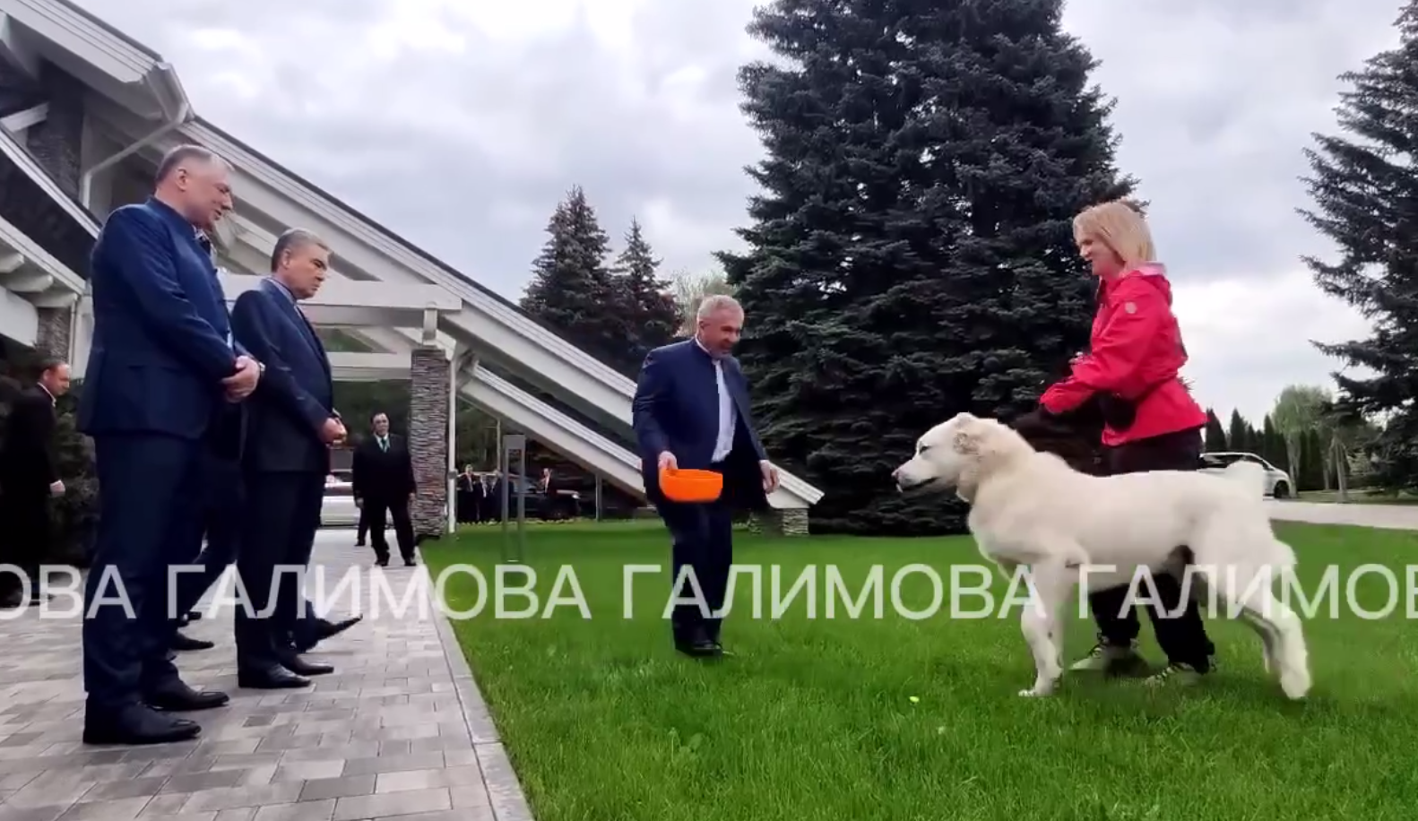 скриншот видео