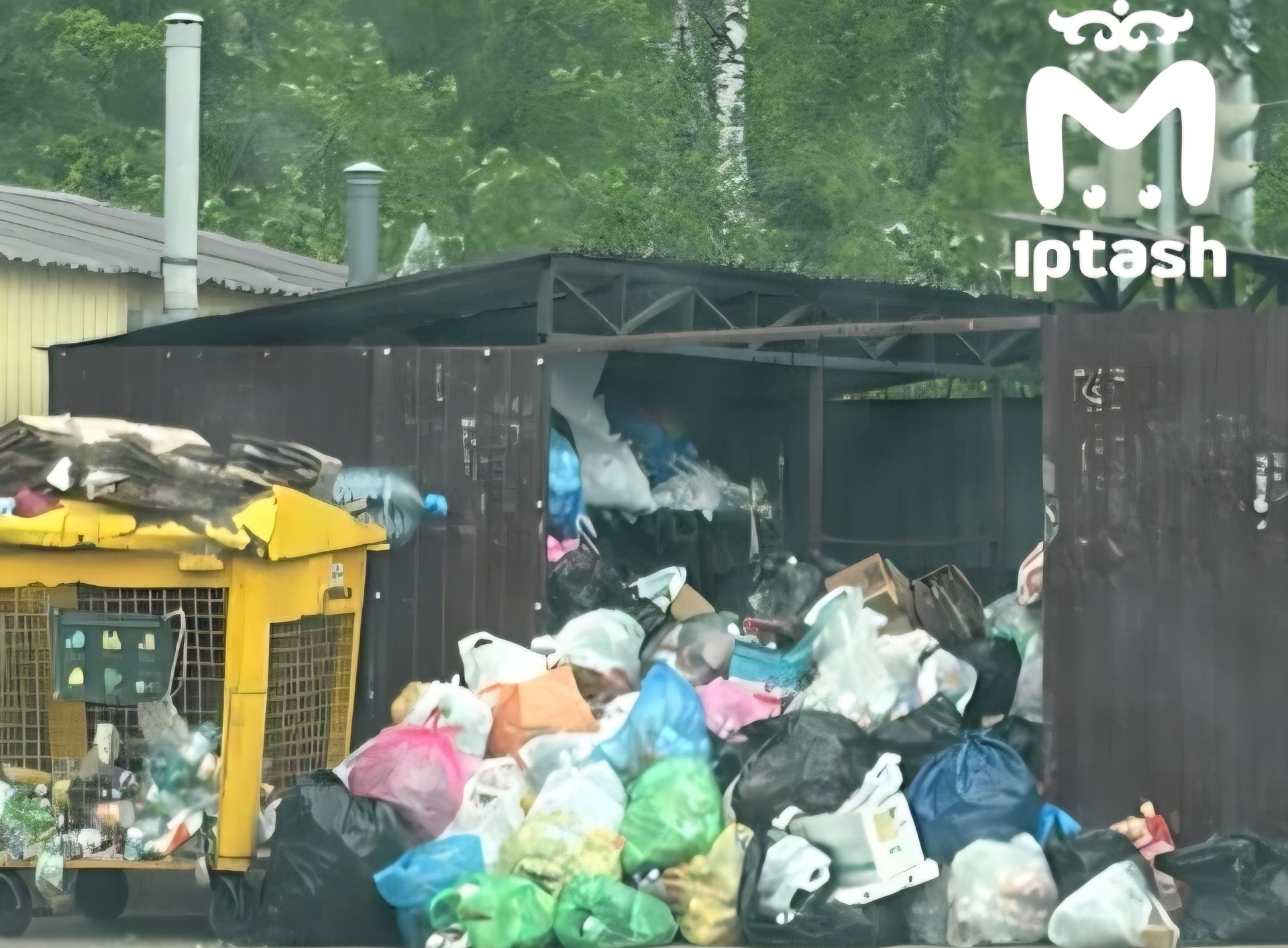 Казанцы жалуются на горы мусора в баках