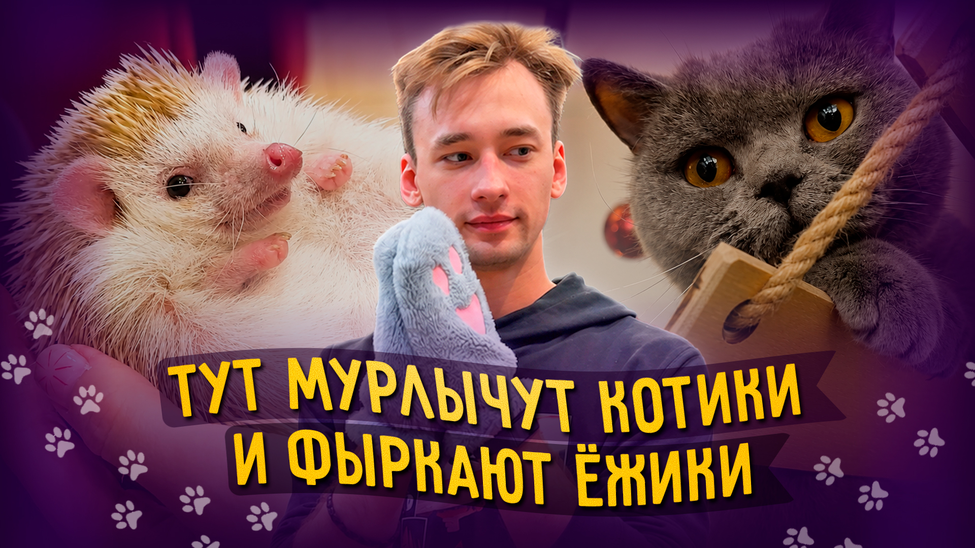 Егор Затеев / ИД «Вечерняя Казань»