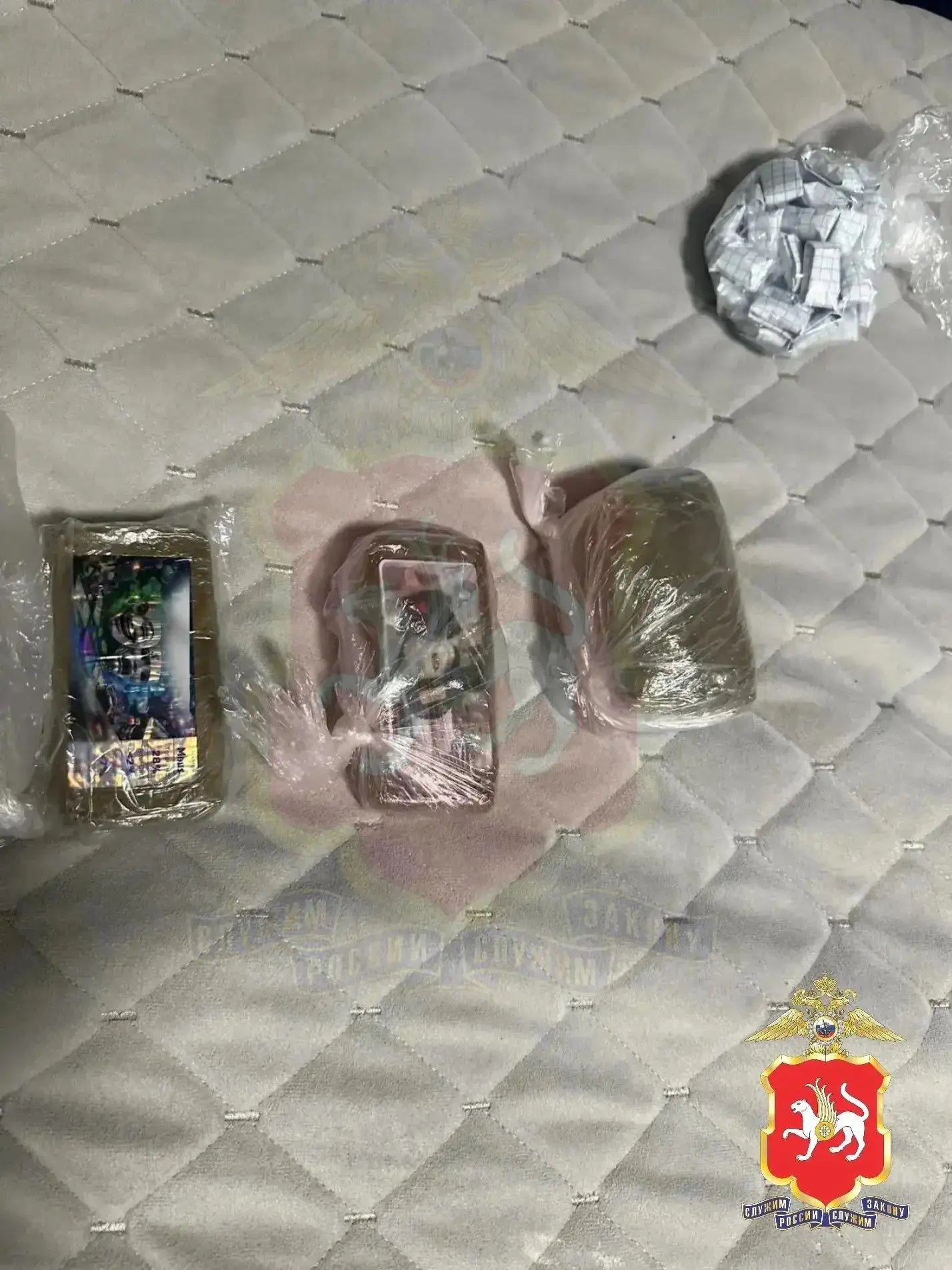 У казанца обнаружили почти полкилограмма наркотиков