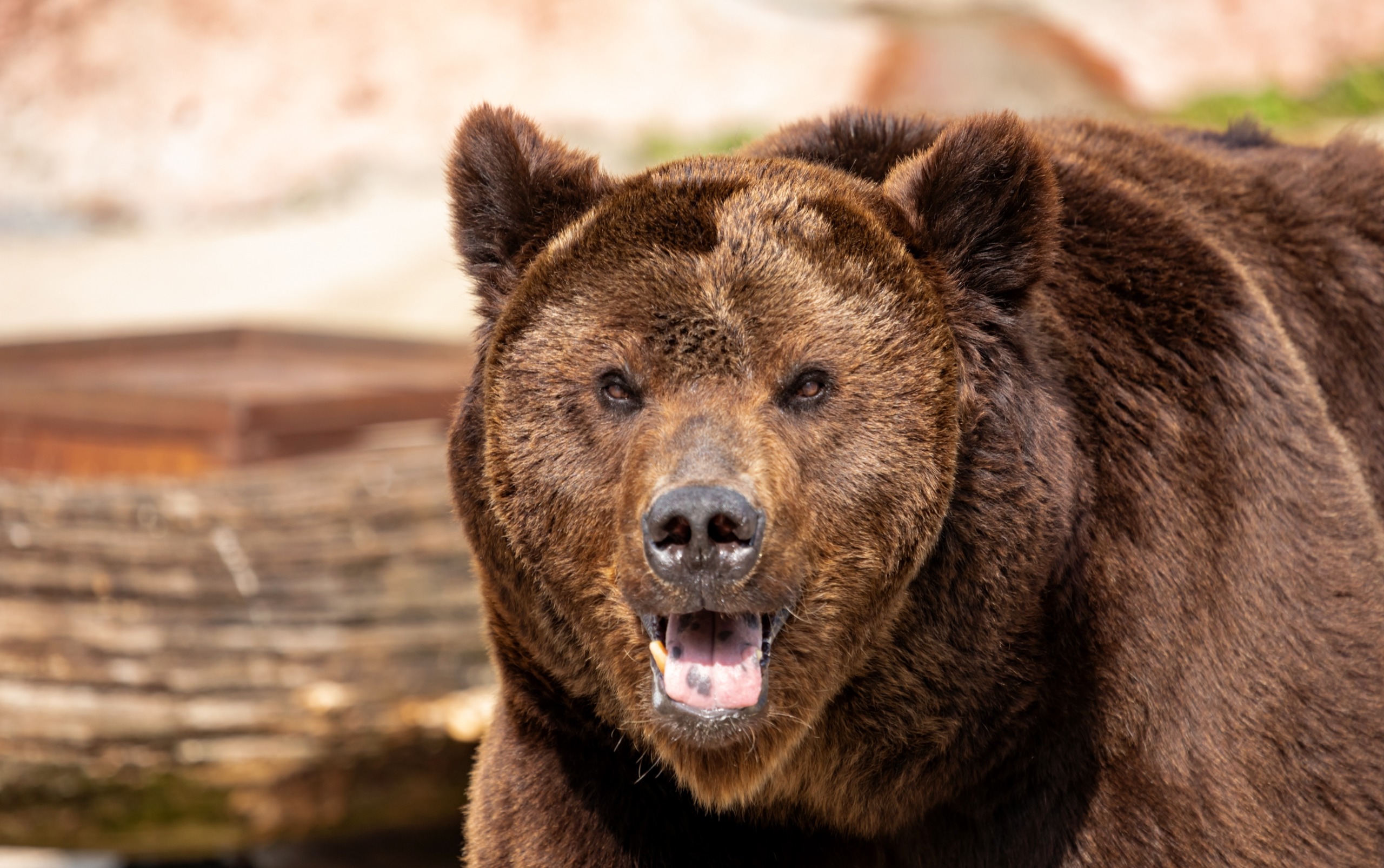 vk.ru/moscow_zoo