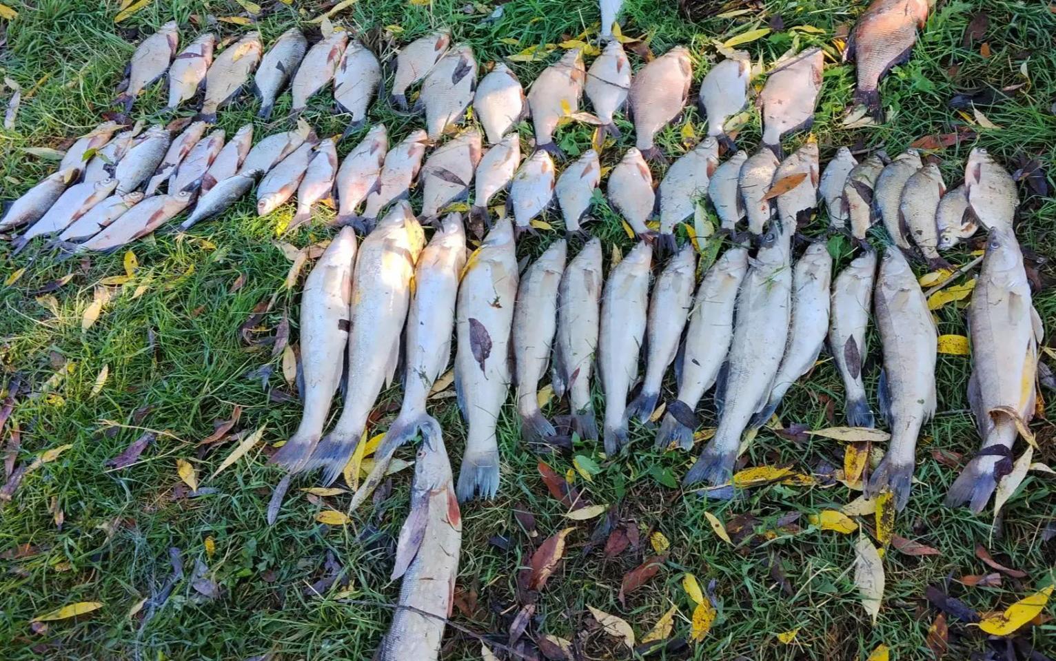 Браконьера, выловившего рыбу на 130 тысяч рублей, поймали в Татарстане