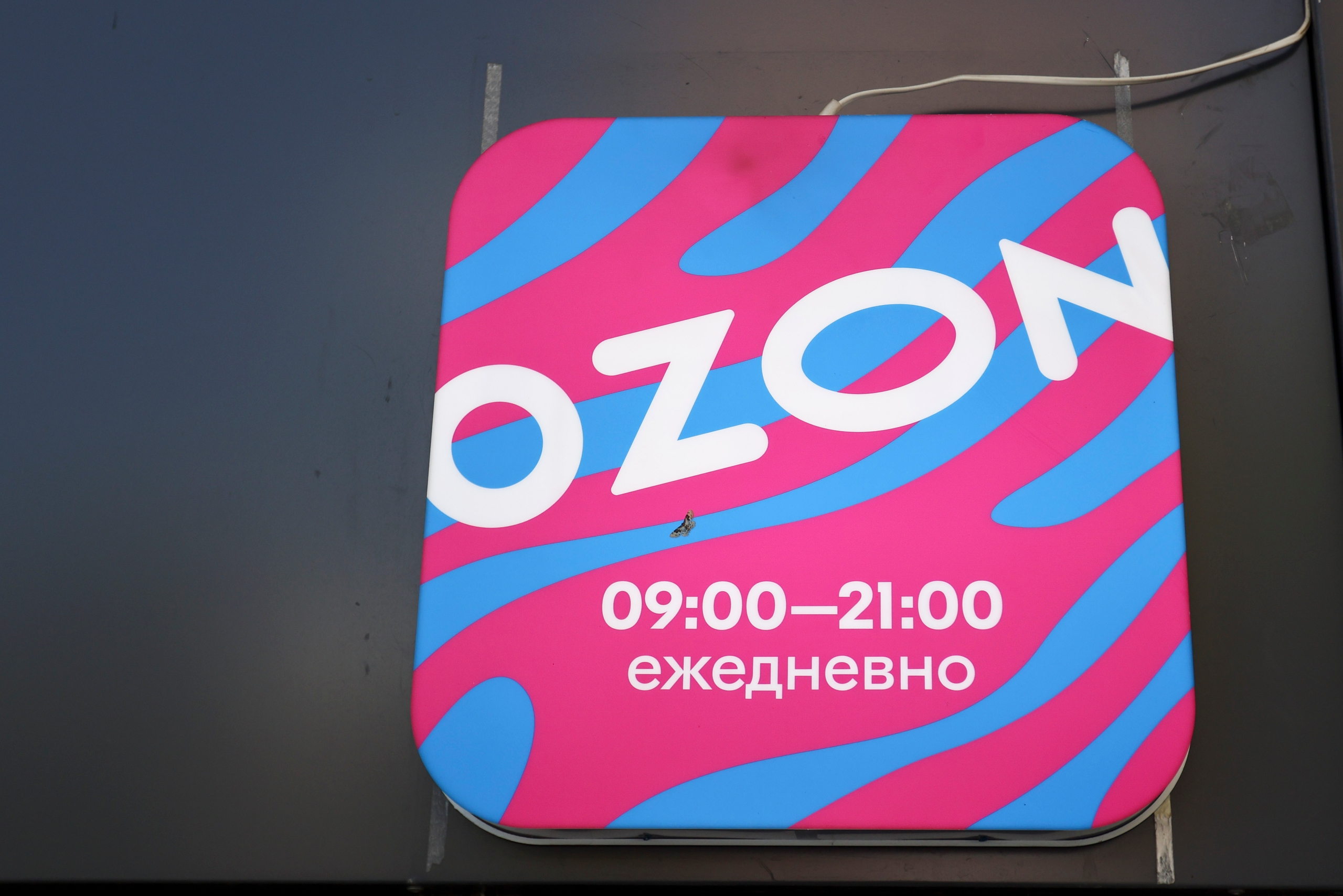 В Ozon пояснили, какие именно товары нельзя купить с постоплатой в регионах